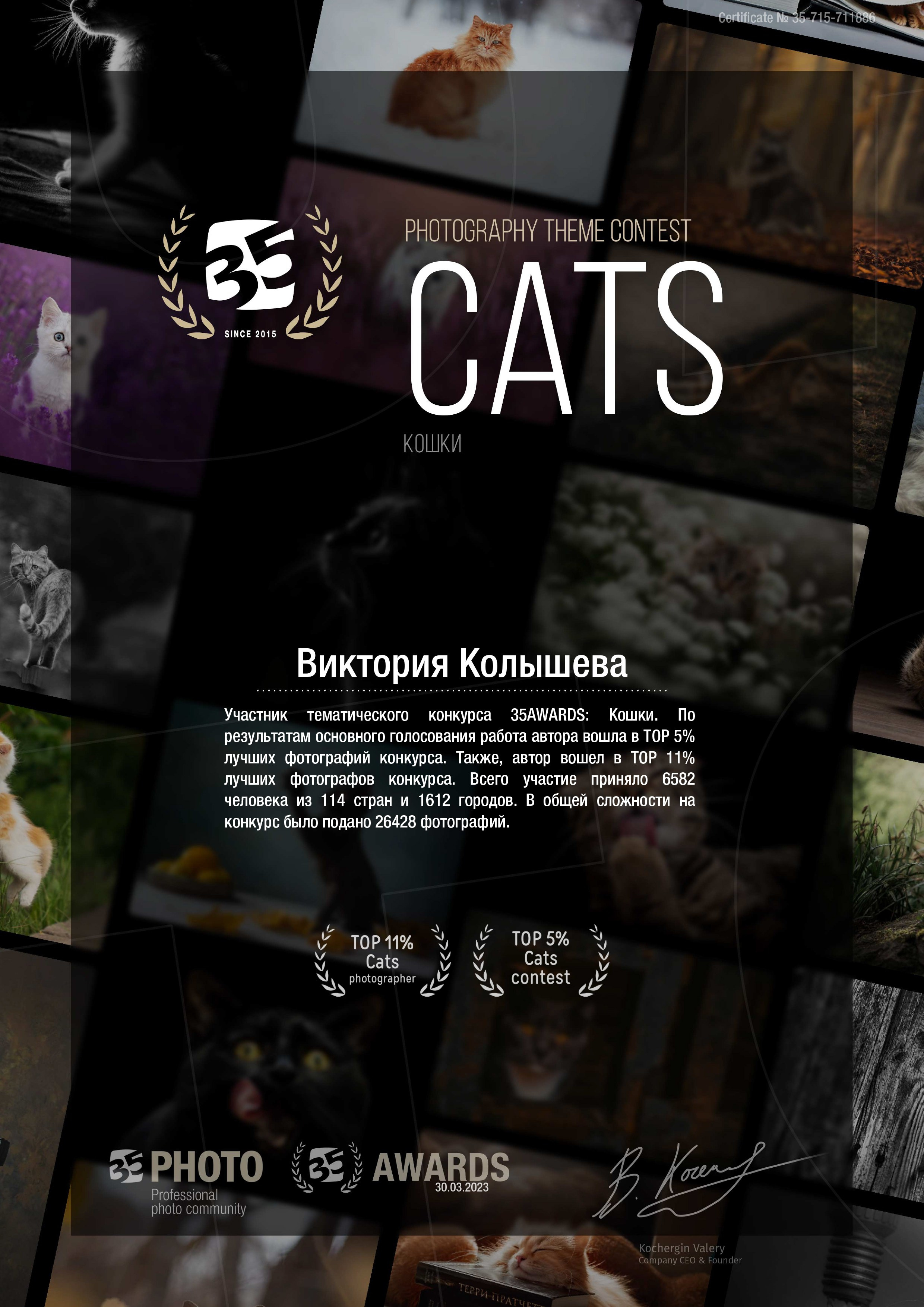 Диплом участника тематического конкурса 35 awards Кошки фотограф Колышева Виктория