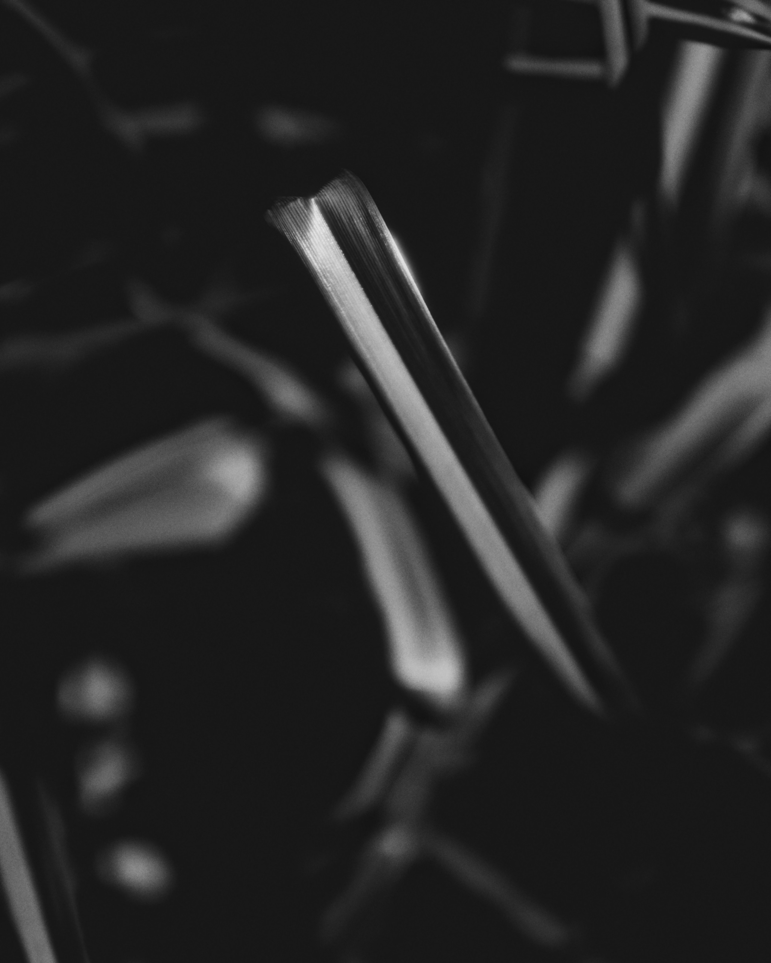 Портретная фотосессия в азиатском стиле