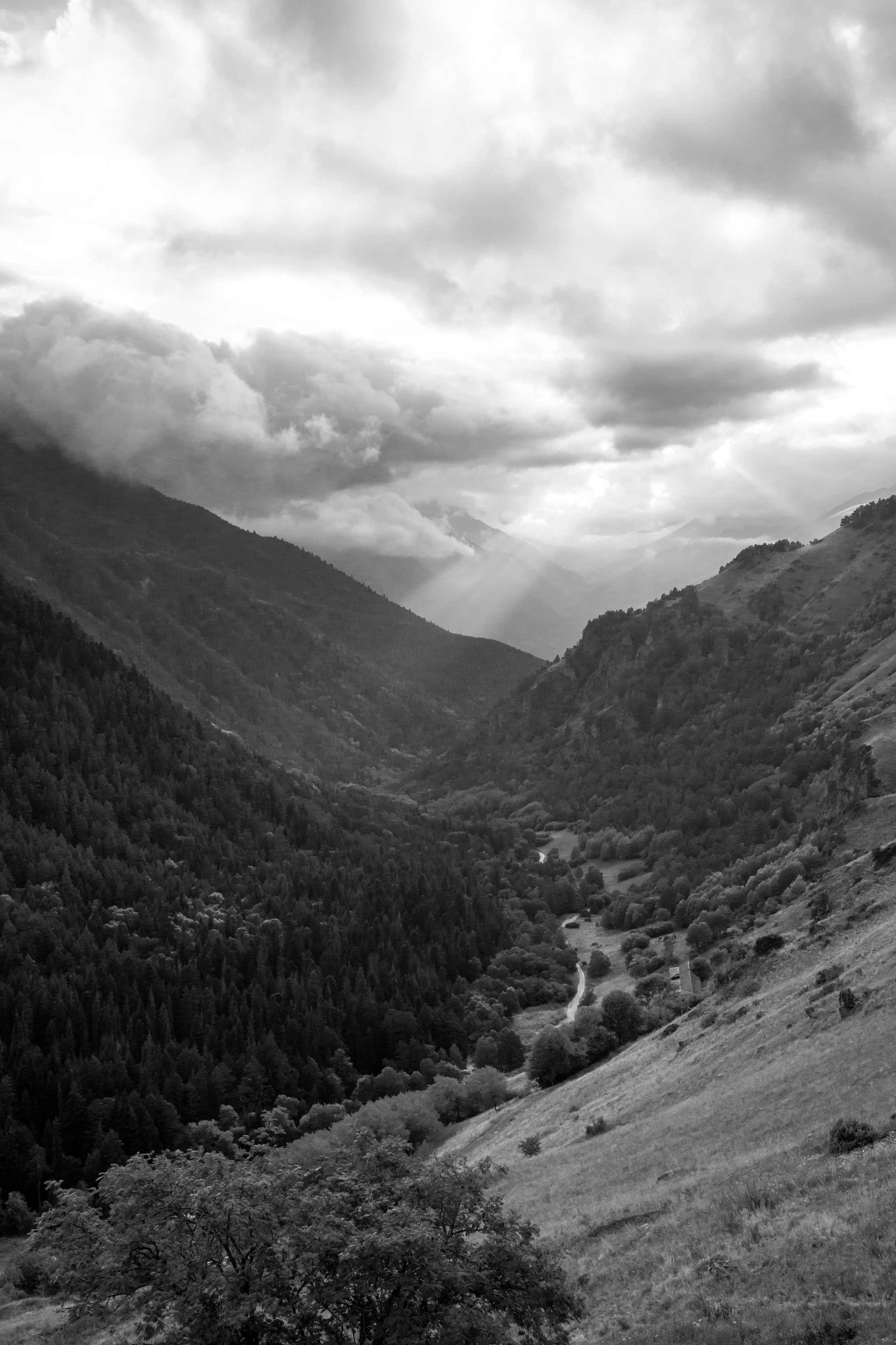 Экспедиция 2025