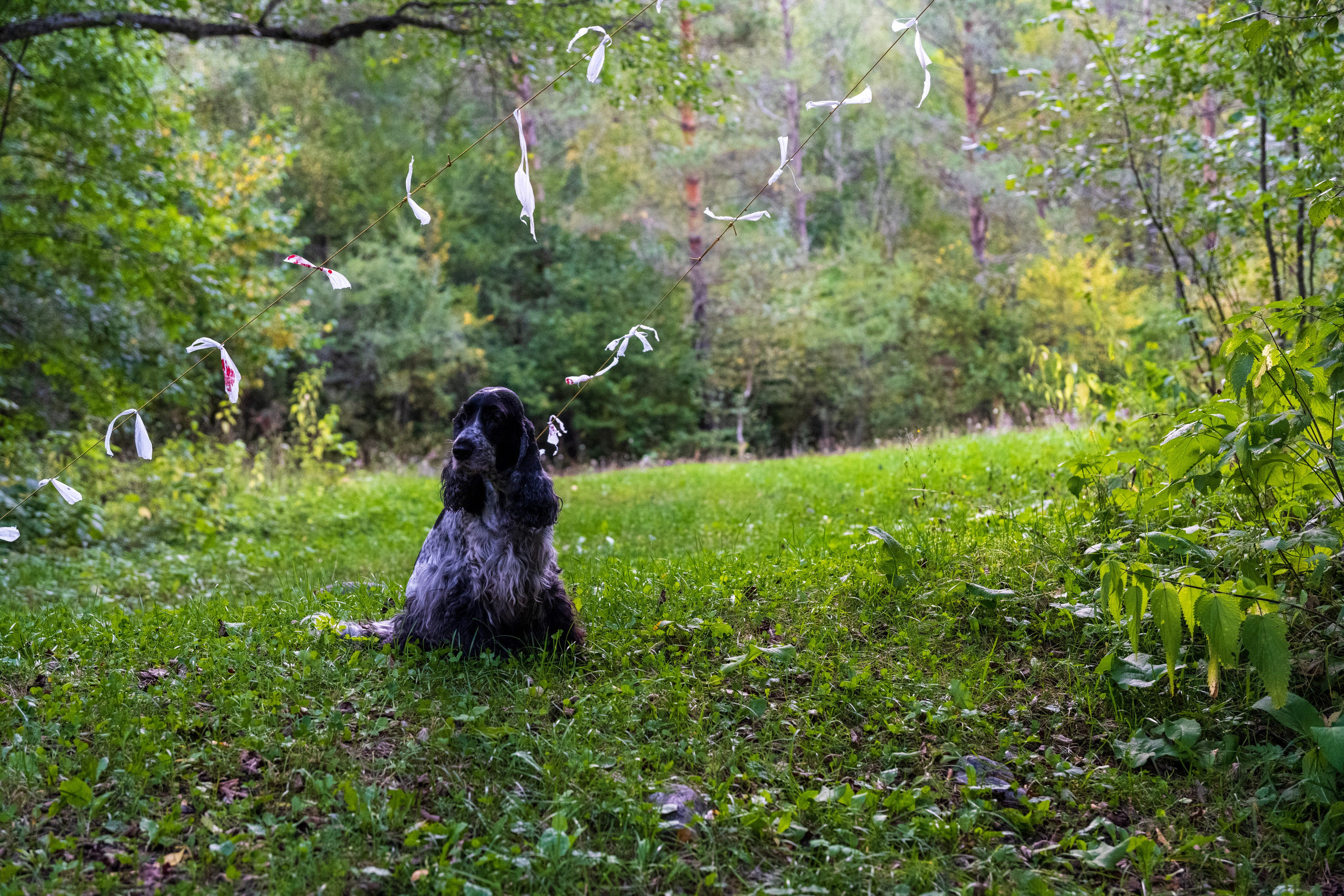 Экспедиция 2024