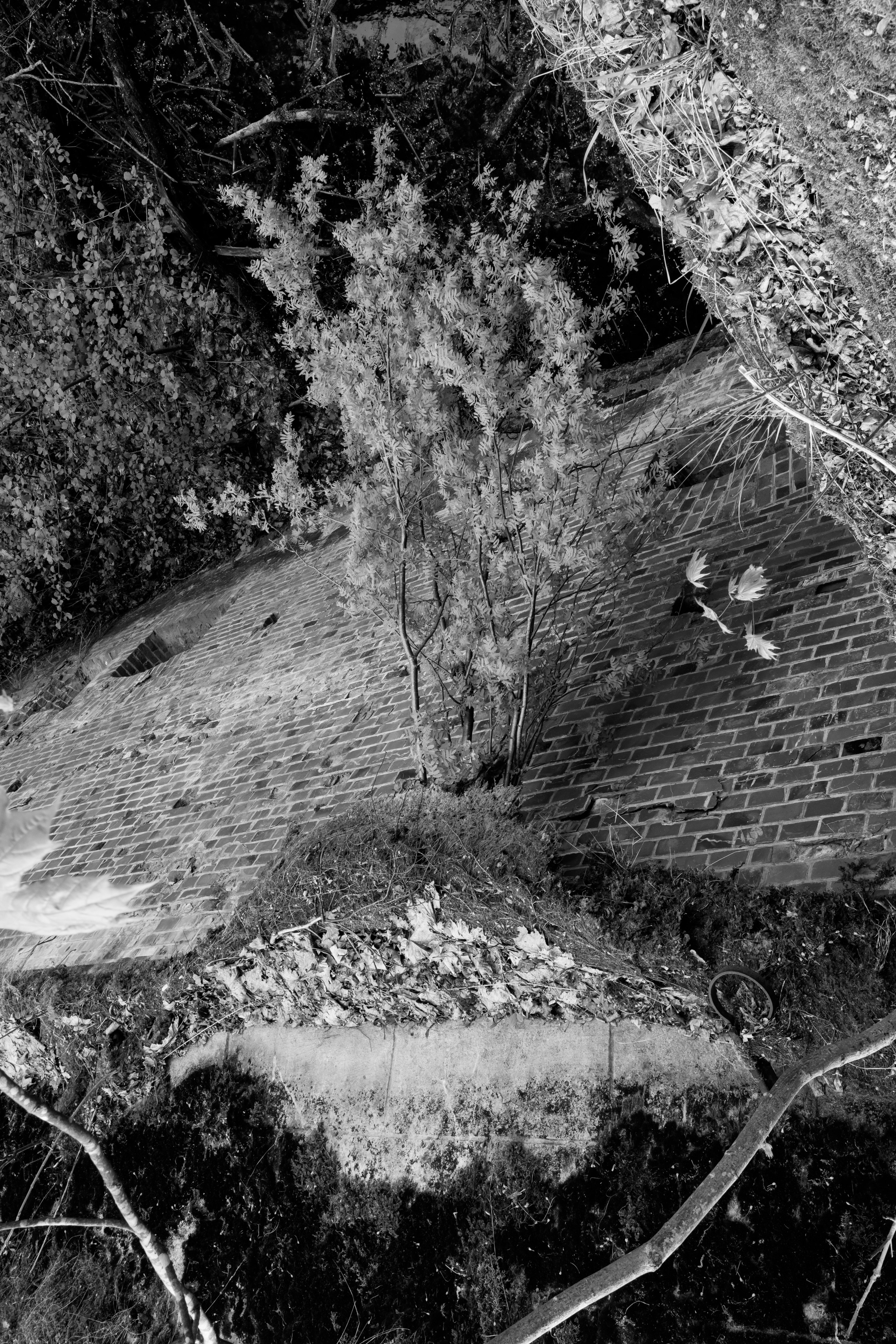 Калининград