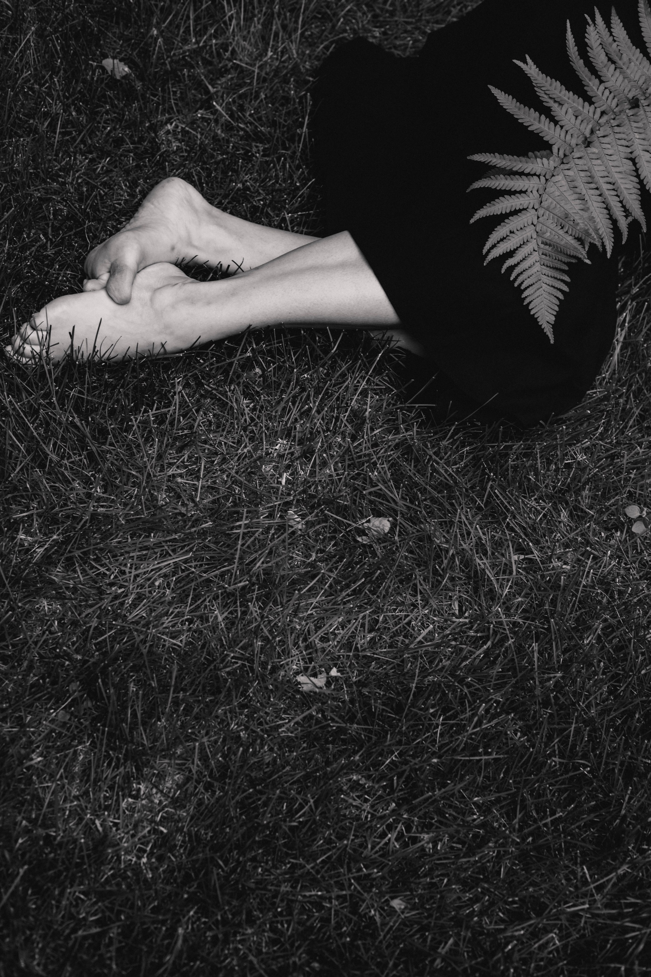 Юля. Папоротник. Фотограф в Нижнем Новгороде