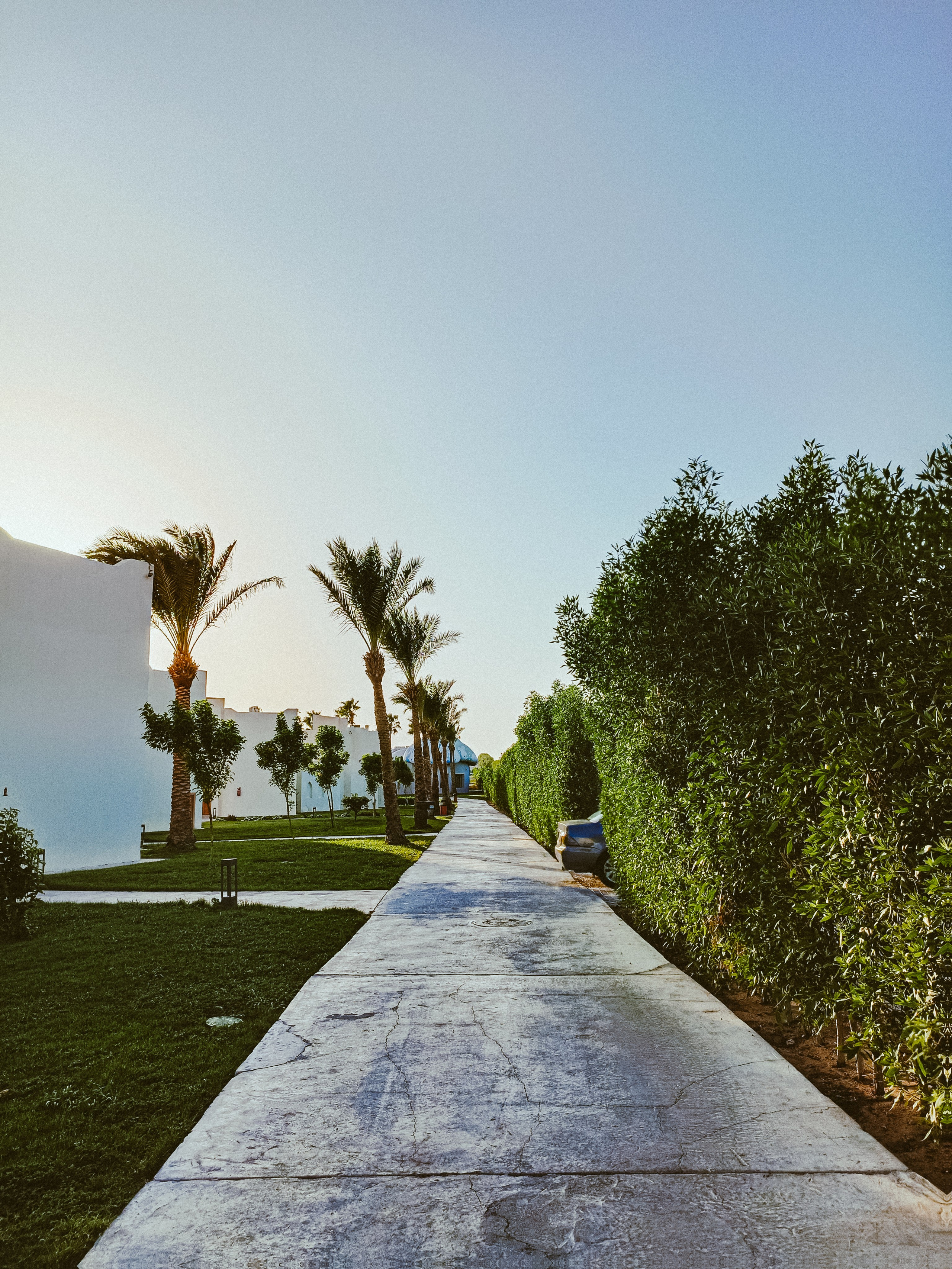 Мобильная. Jorgis — фотограф в Хургаде / обучение фотографии