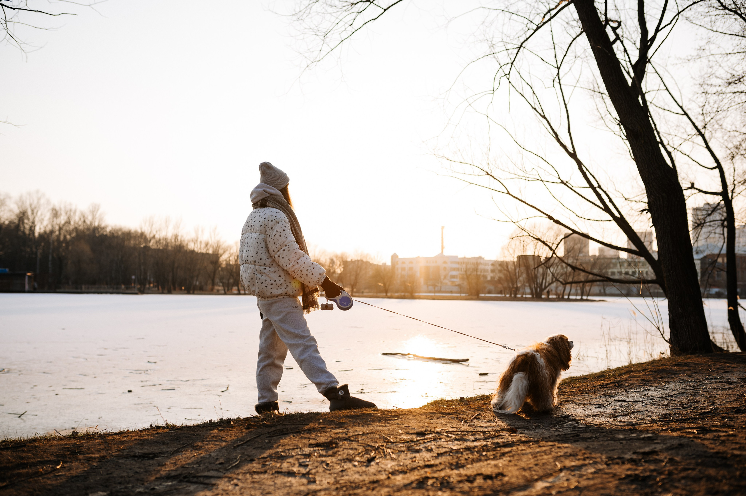 Лена и Арчи. Фотограф анималист в Москве Ольга Агушева