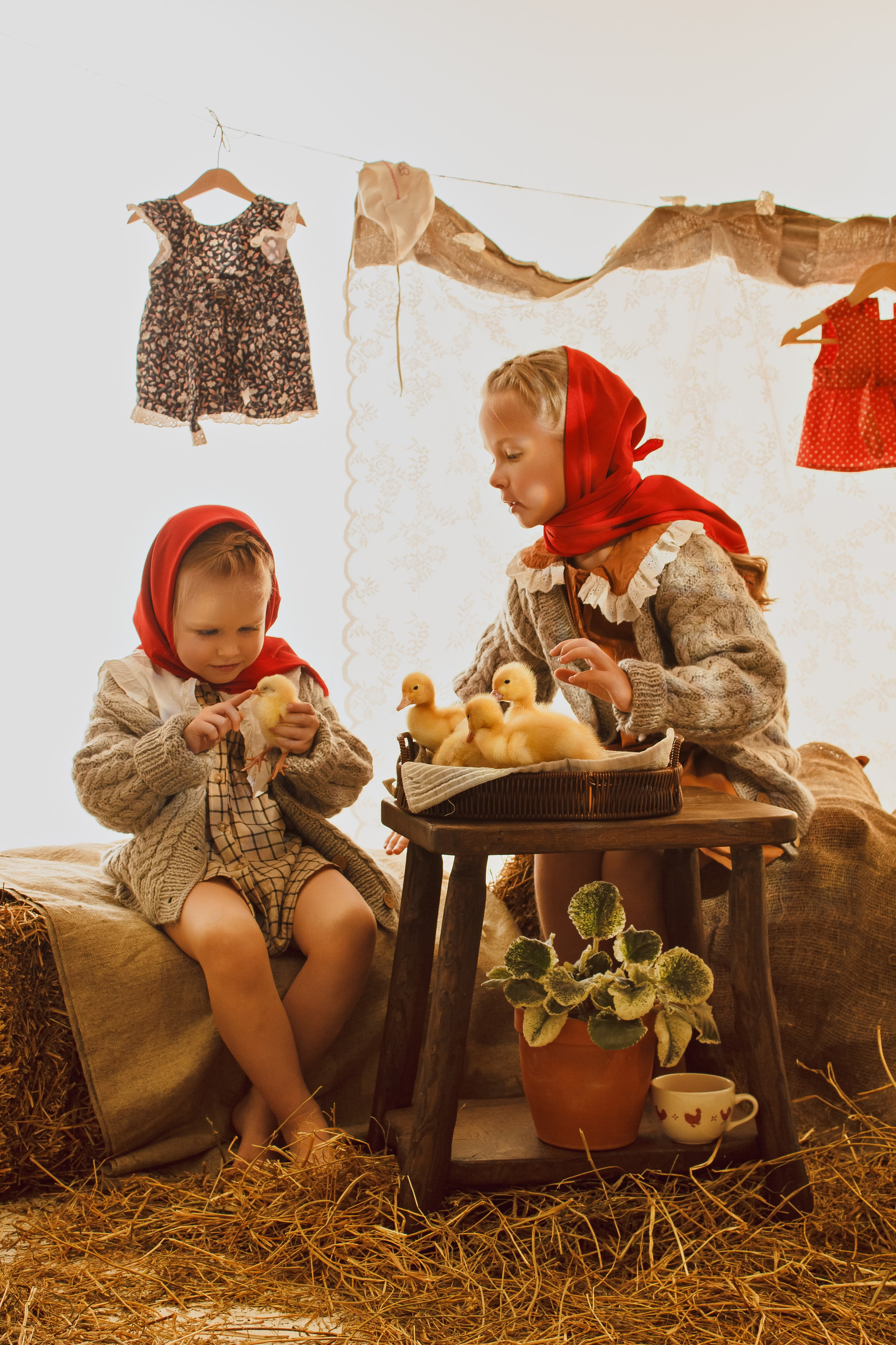 Автор Анна Голиченко - Цыплята