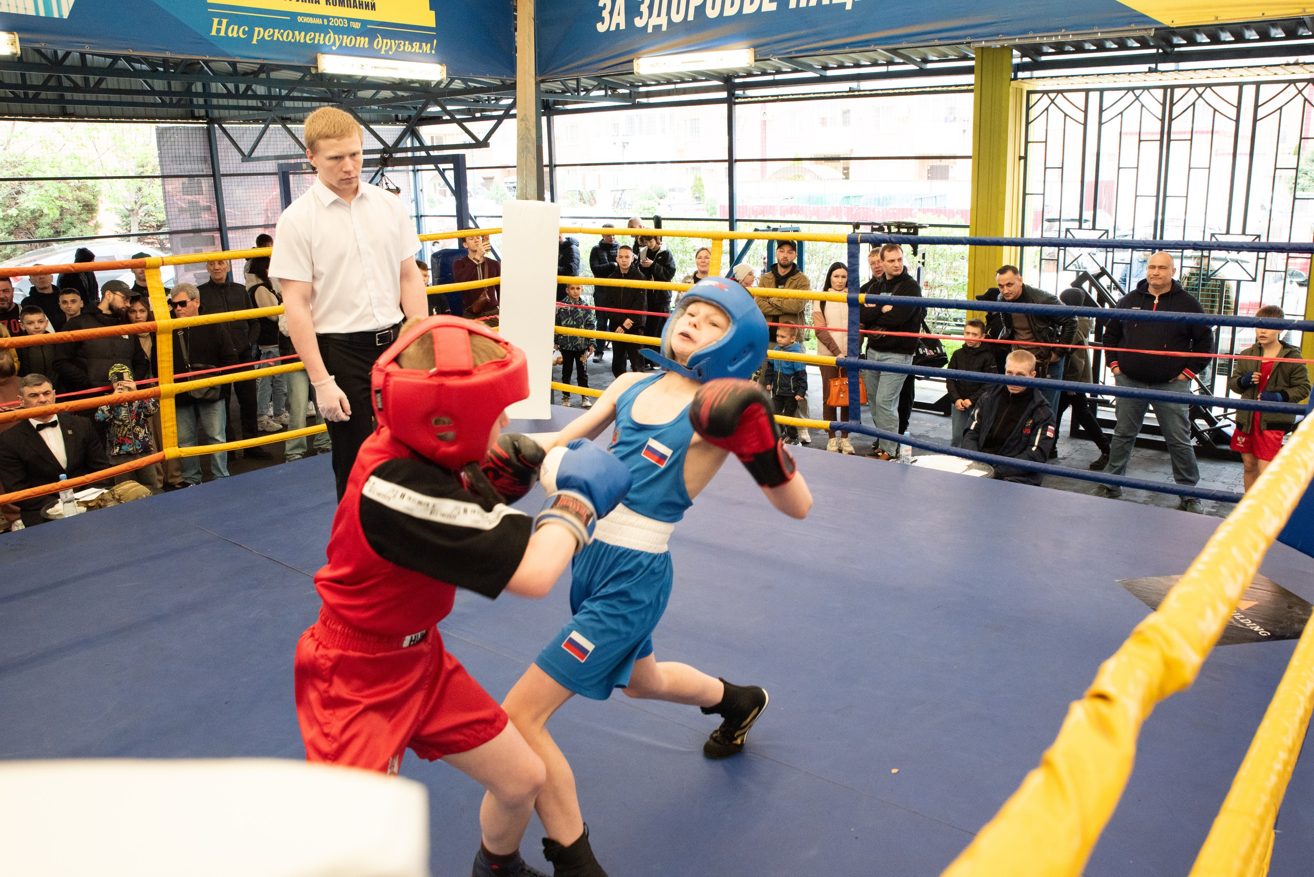 Соревнования GO FIGHT. Фотограф в Краснодаре Анна Карелина