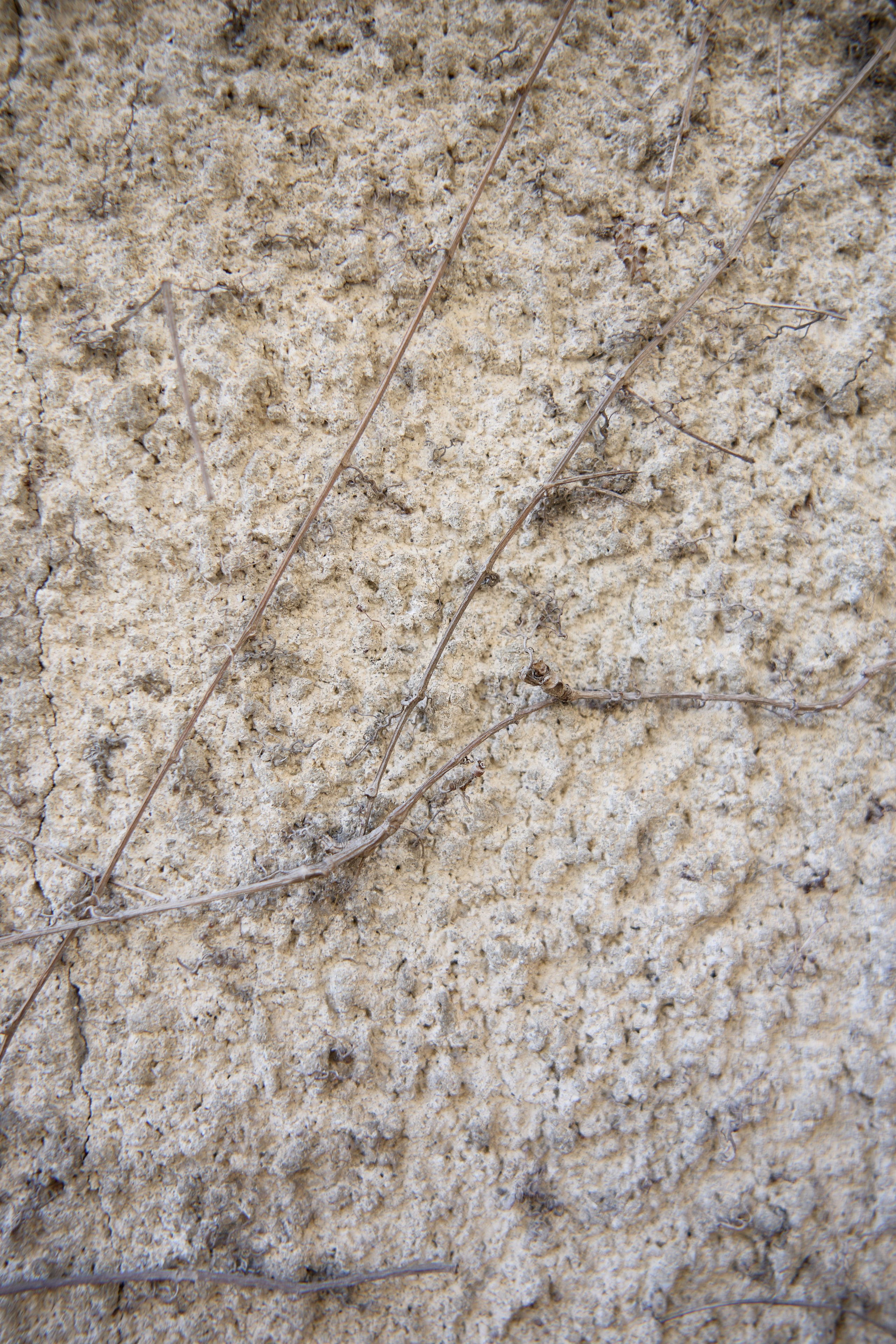 Стамбул 24. Фотограф Москва, Дима Пеллер