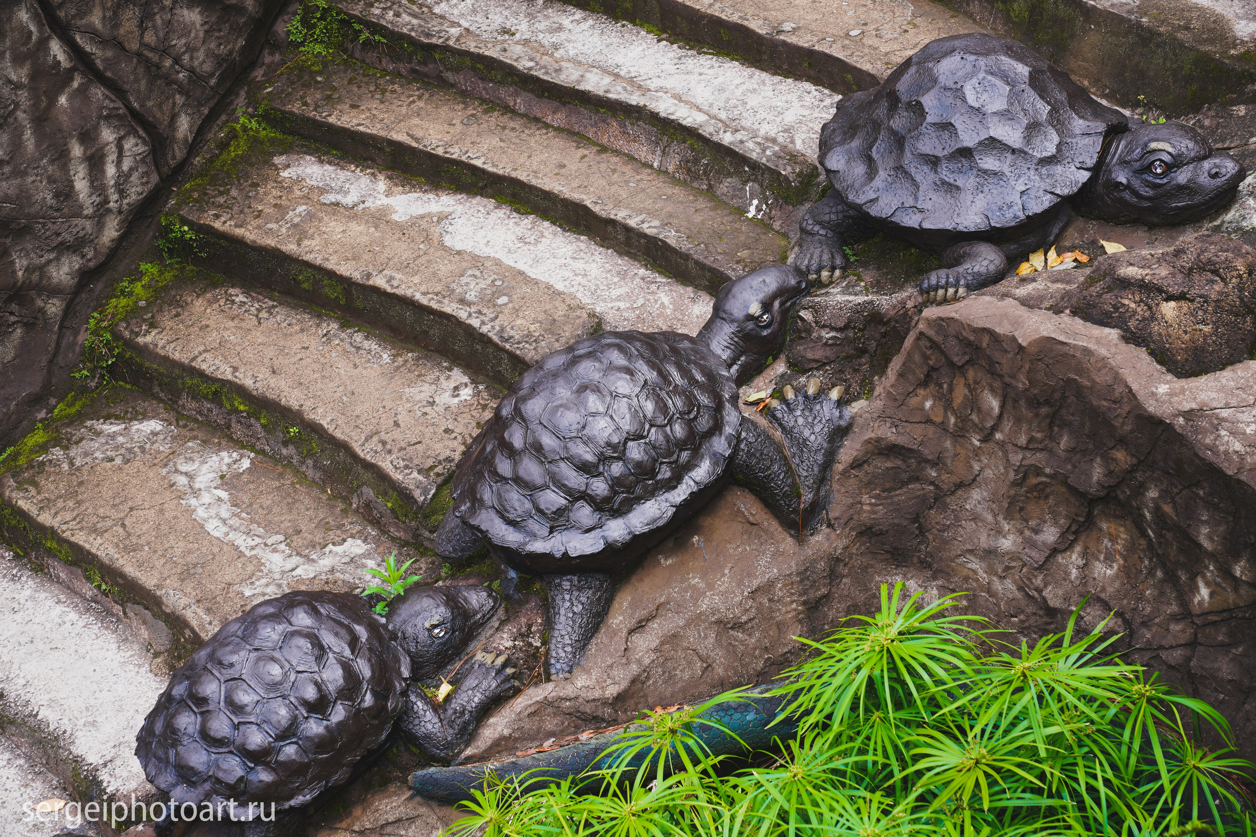 Далат. Фотограф Сергей Кишкель Дананг Нячанг Фукуок