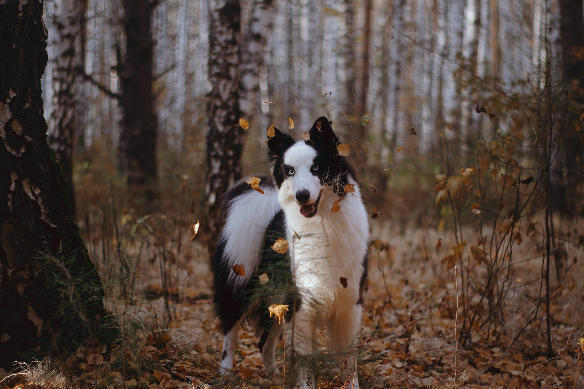 Ликёр. Фотограф в Тюмени Лизавета Сапицкая