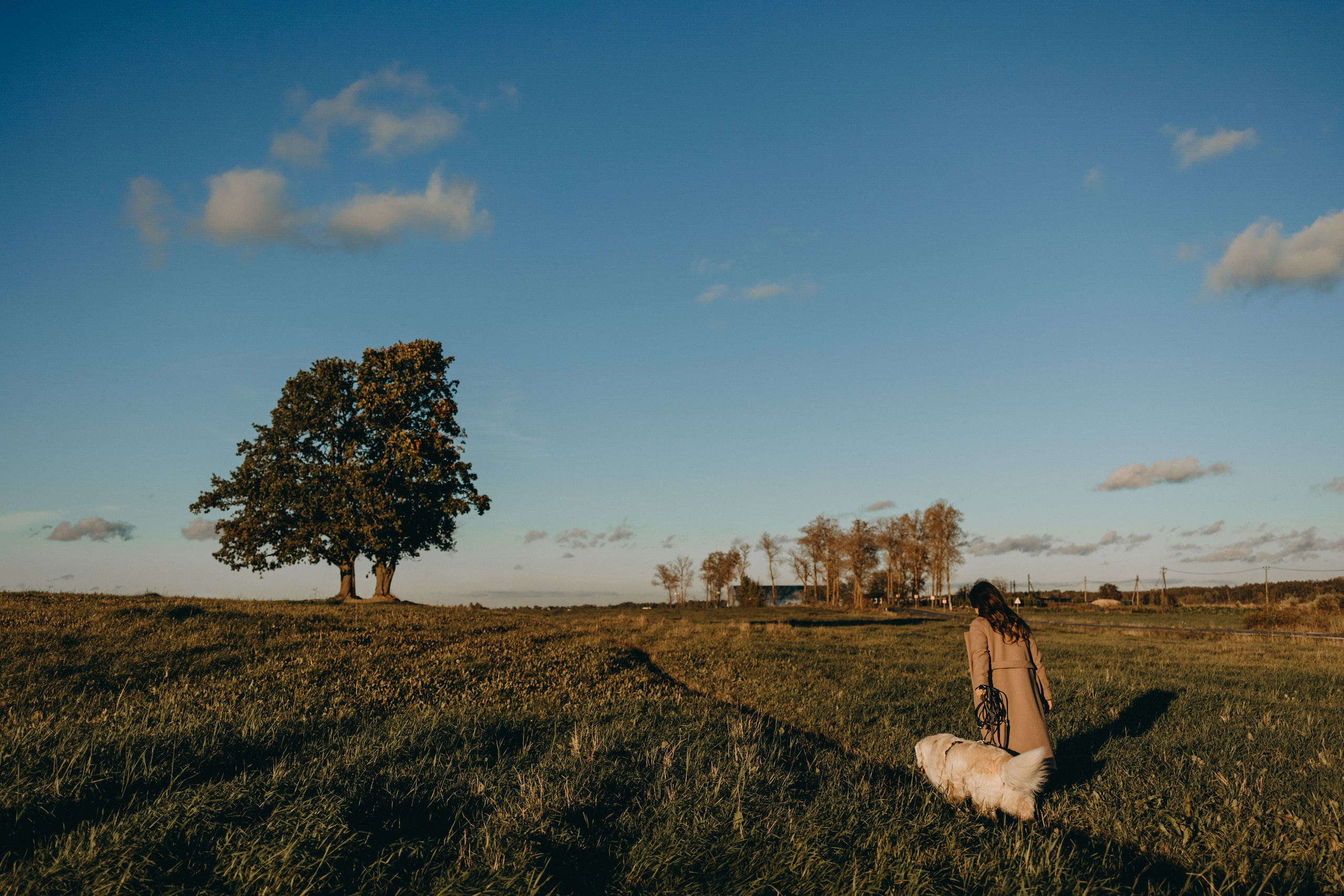 Лера и Скай. Фотограф — Анималист | Санкт-Петербург