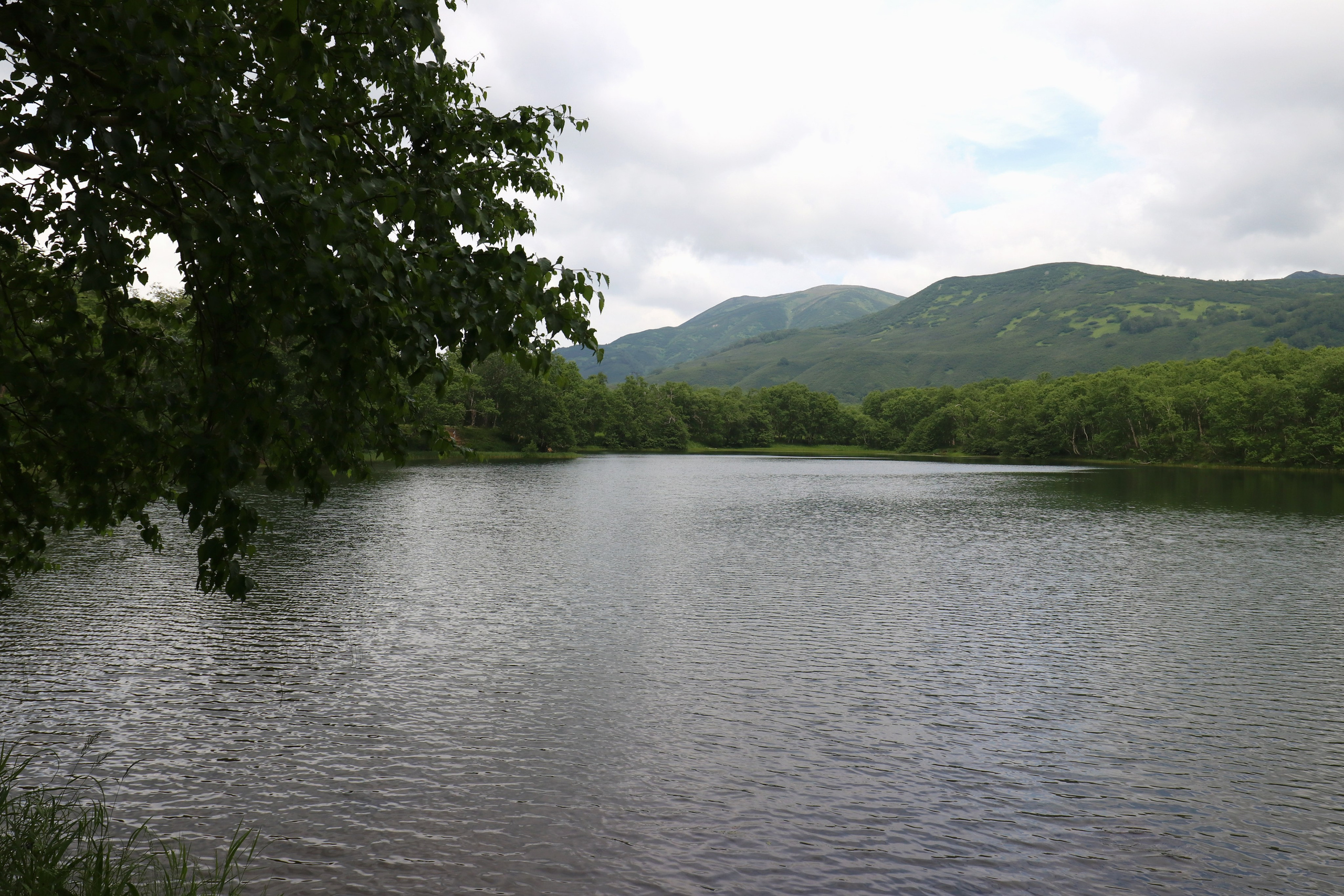 Ольховые озера