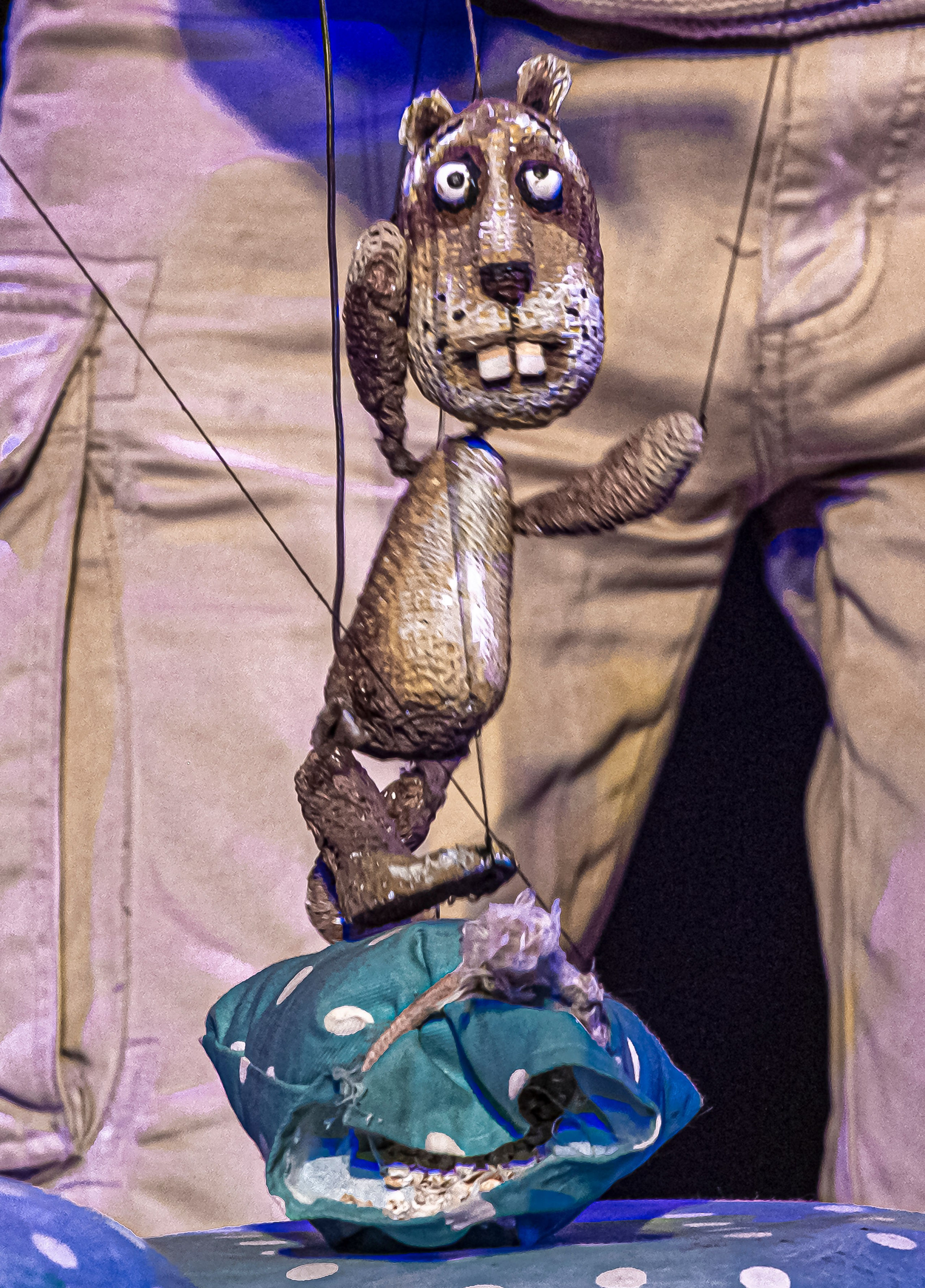 Колючая сказка. Фотограф в Сочи Юрий Шептаев