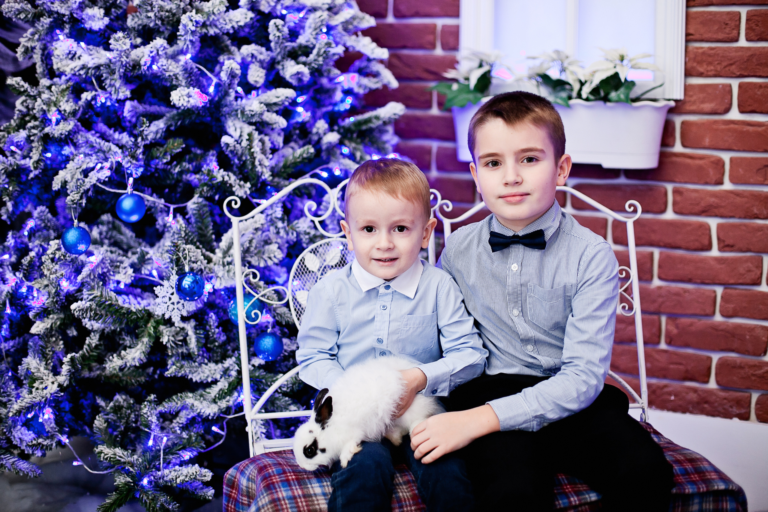 Новогодние съемки. Семейный, детский, newborn фотограф Москва,Московская обл Алла Риэр