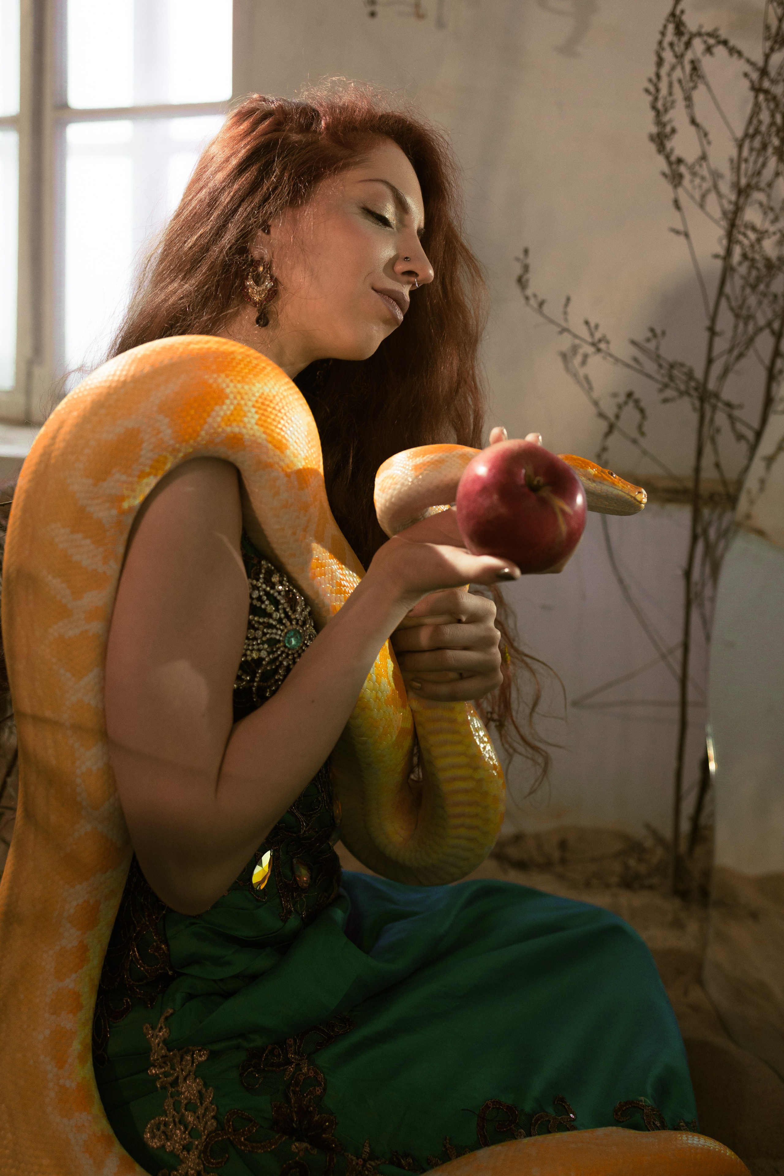 Спящая красавица