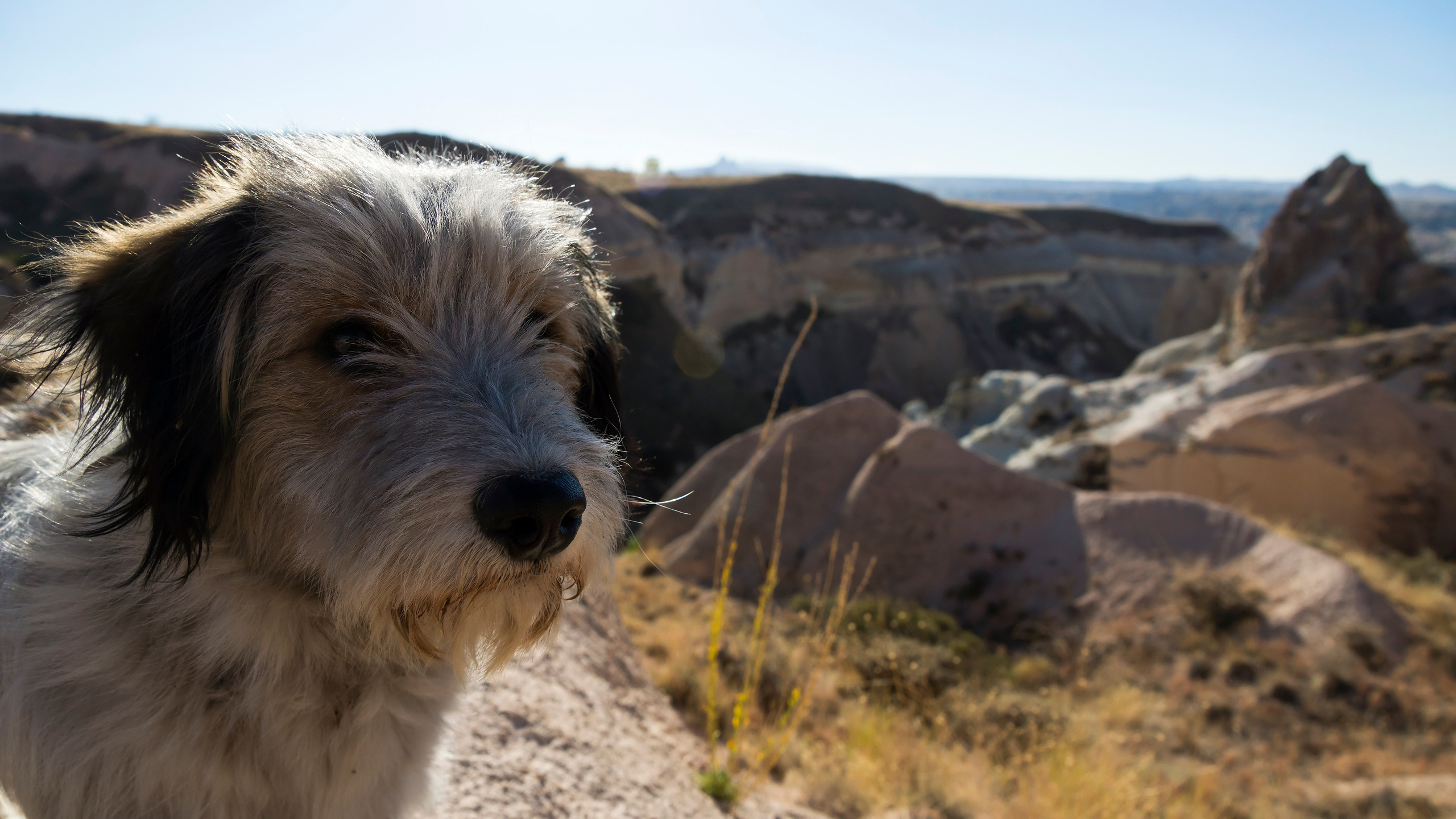 Каппадокия. Фотограф-путешественник Самойлов Максим «Sly Fox»