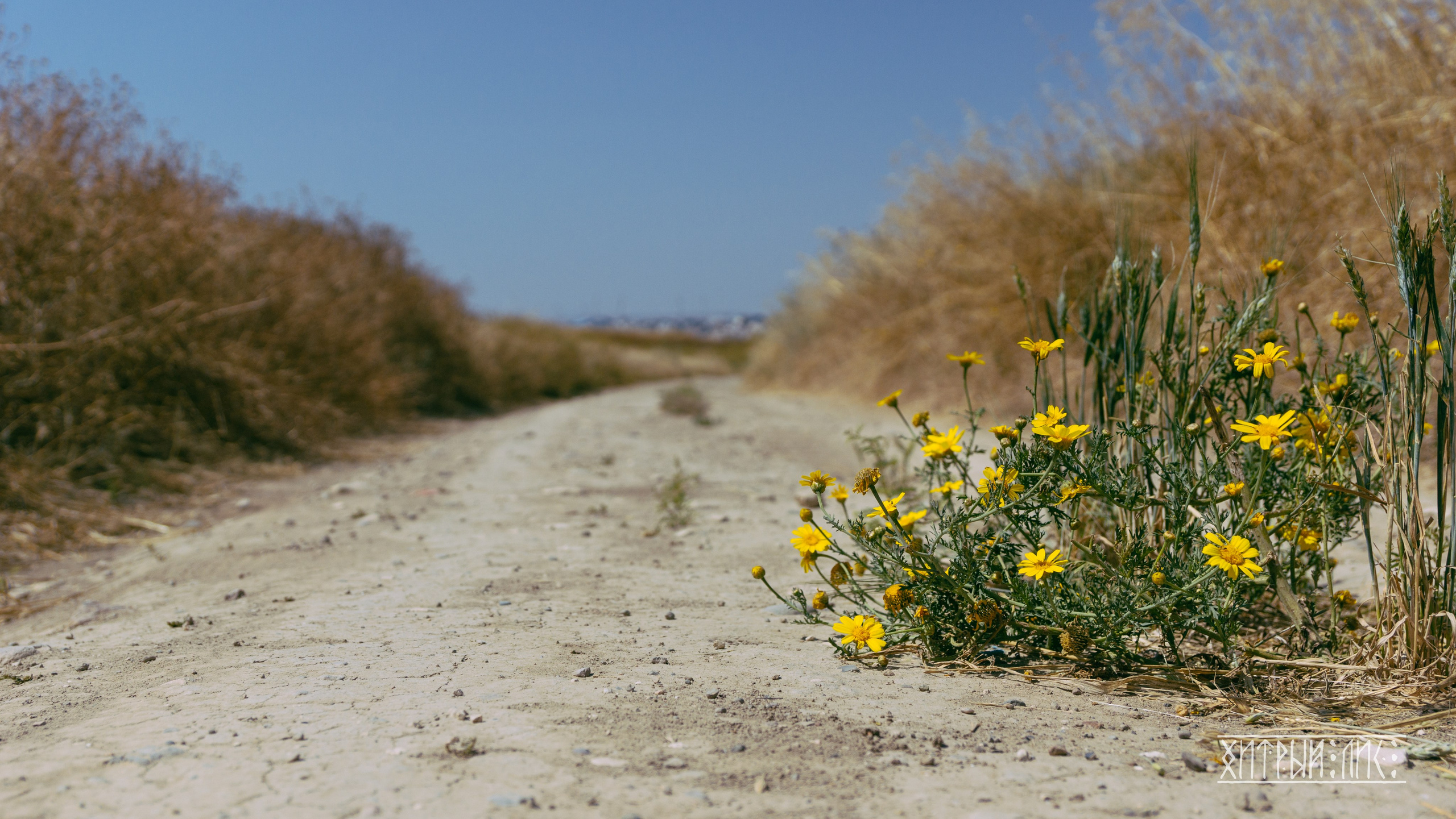 Кипр. Фотограф-путешественник Самойлов Максим «Sly Fox»
