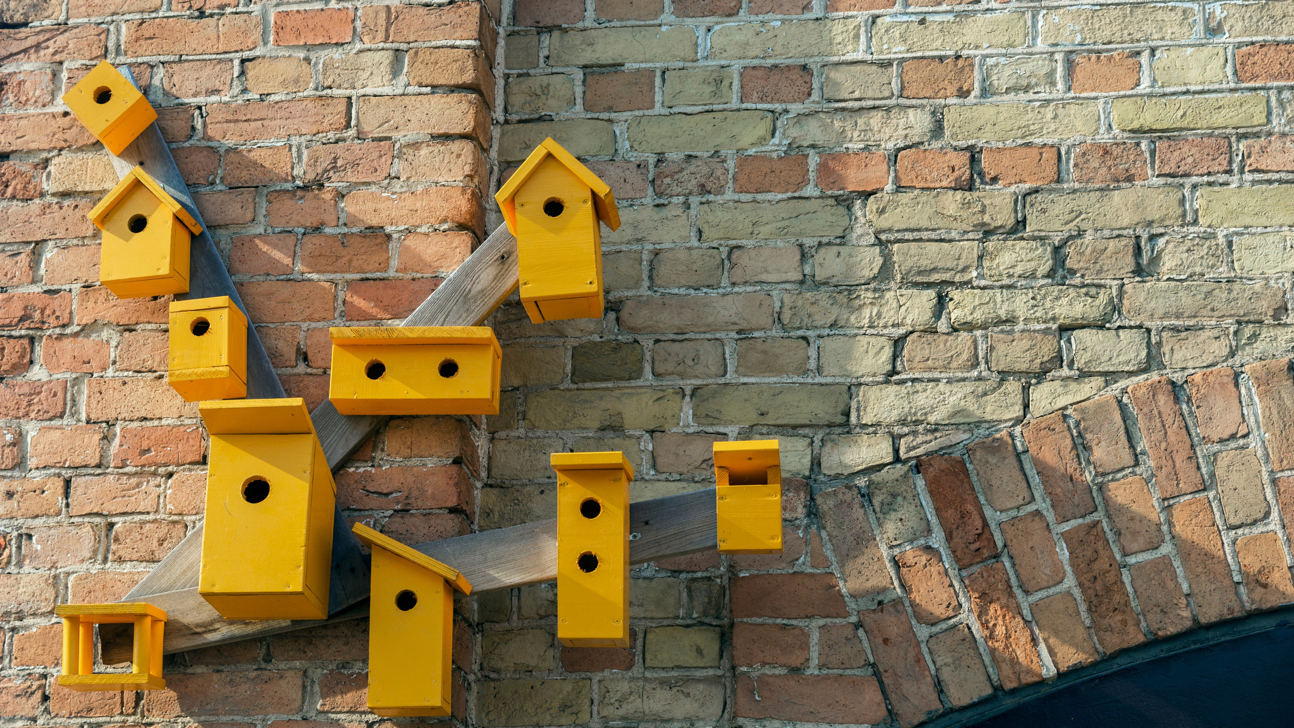 Рига. Фотограф-путешественник Самойлов Максим «Sly Fox»