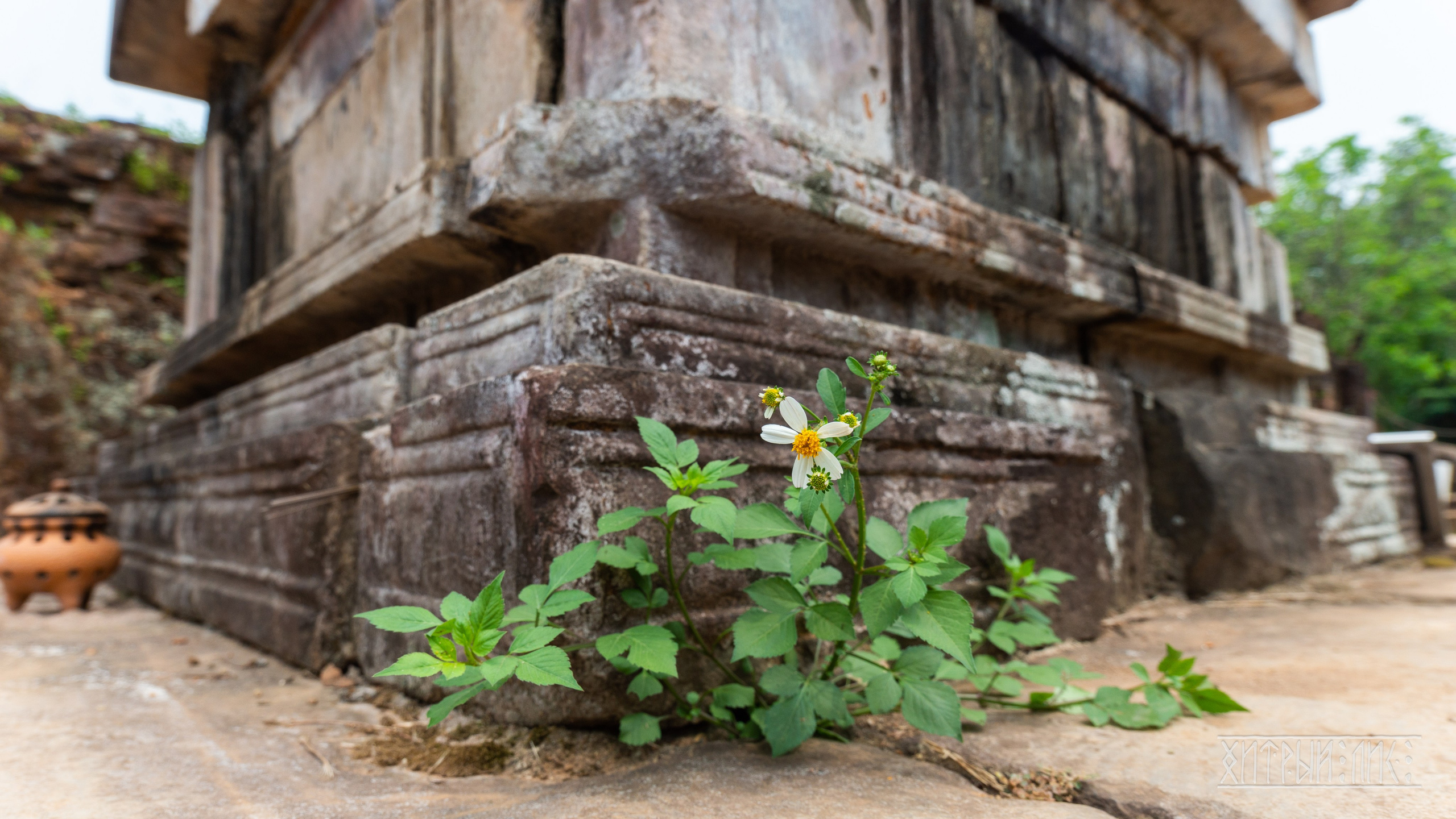 Вьетнам. Фотограф-путешественник Самойлов Максим «Sly Fox»