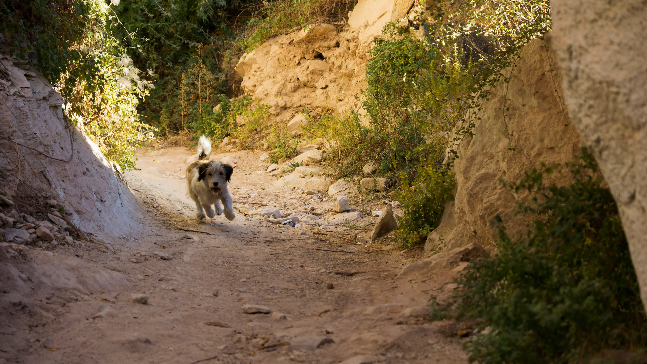 Каппадокия. Фотограф-путешественник Самойлов Максим «Sly Fox»