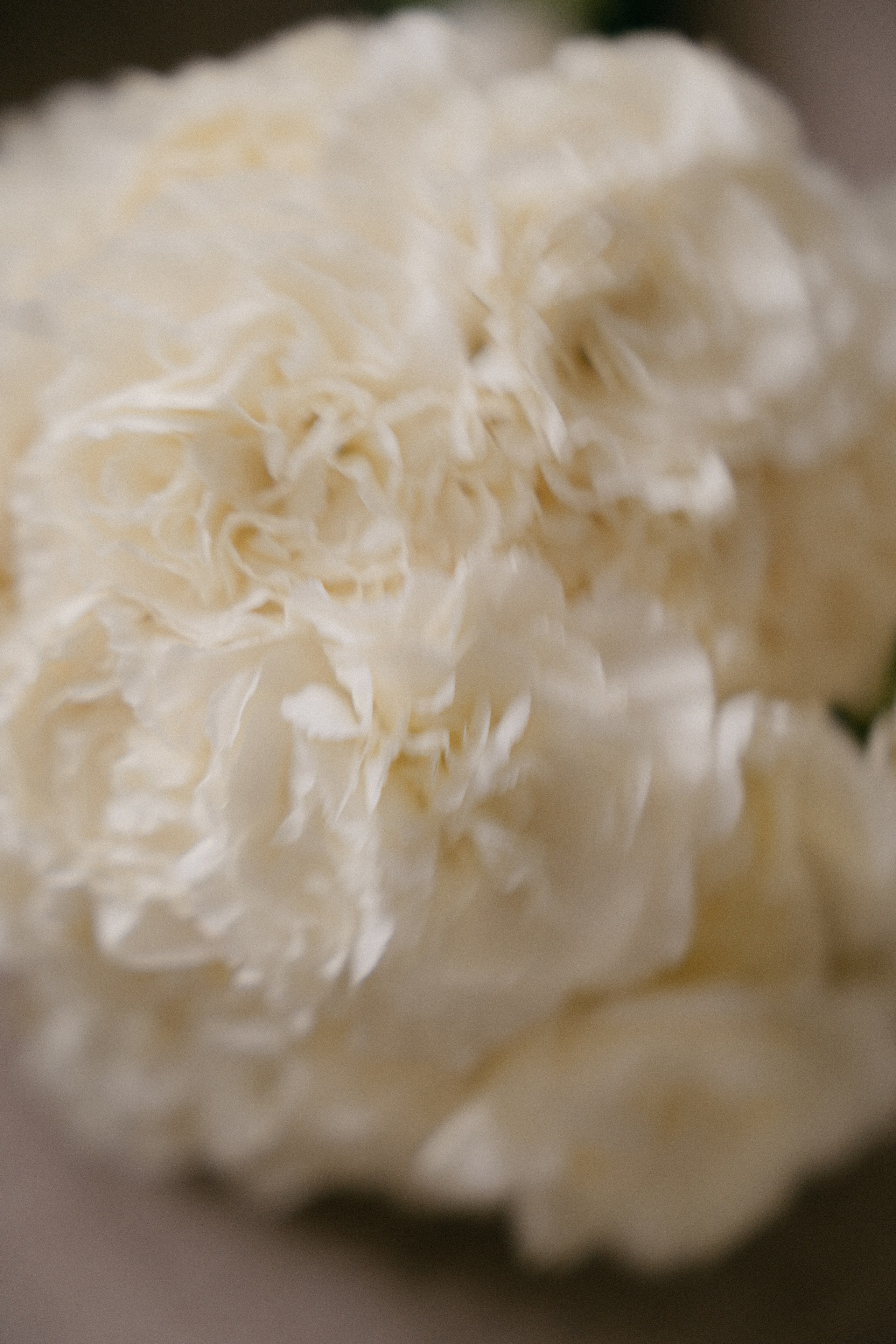 💍 | М+В. Главная