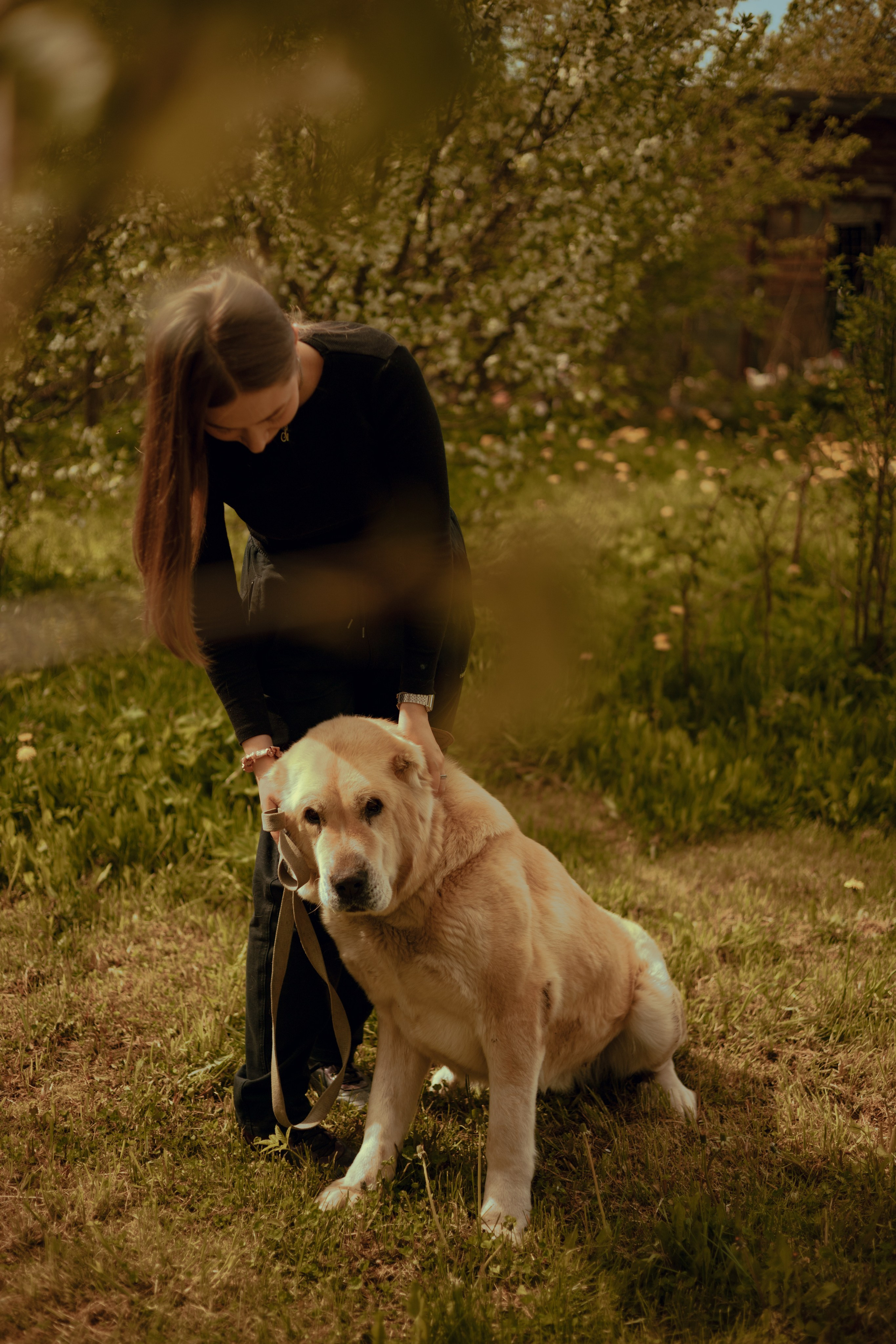 Юля и Ума. Фотограф — анималист •love-story•|Санкт-Петербург