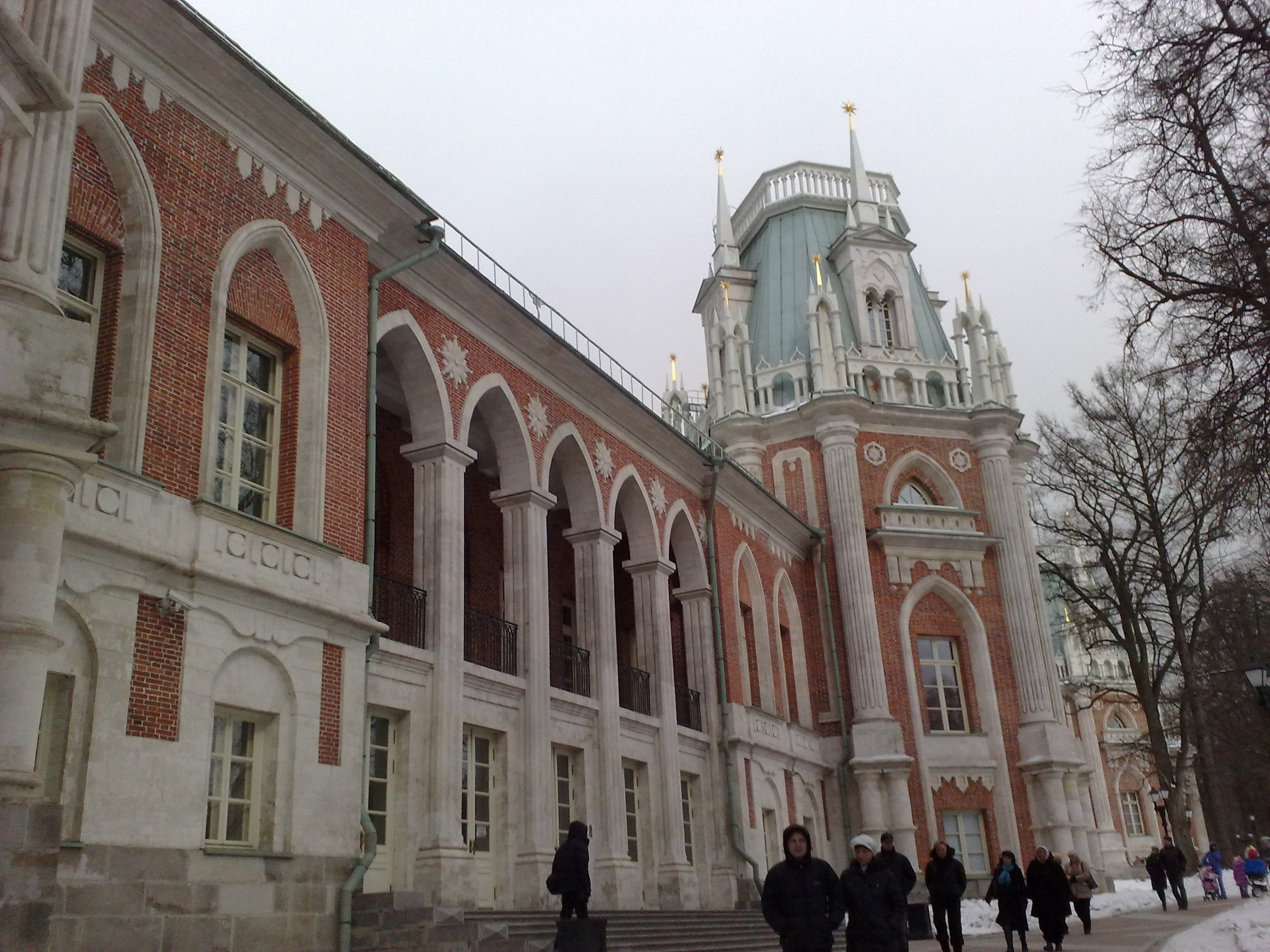 Царицино музей-усадьба. Питомник китайских хохлатых собак Poale Ell: купить щенка в питомнике