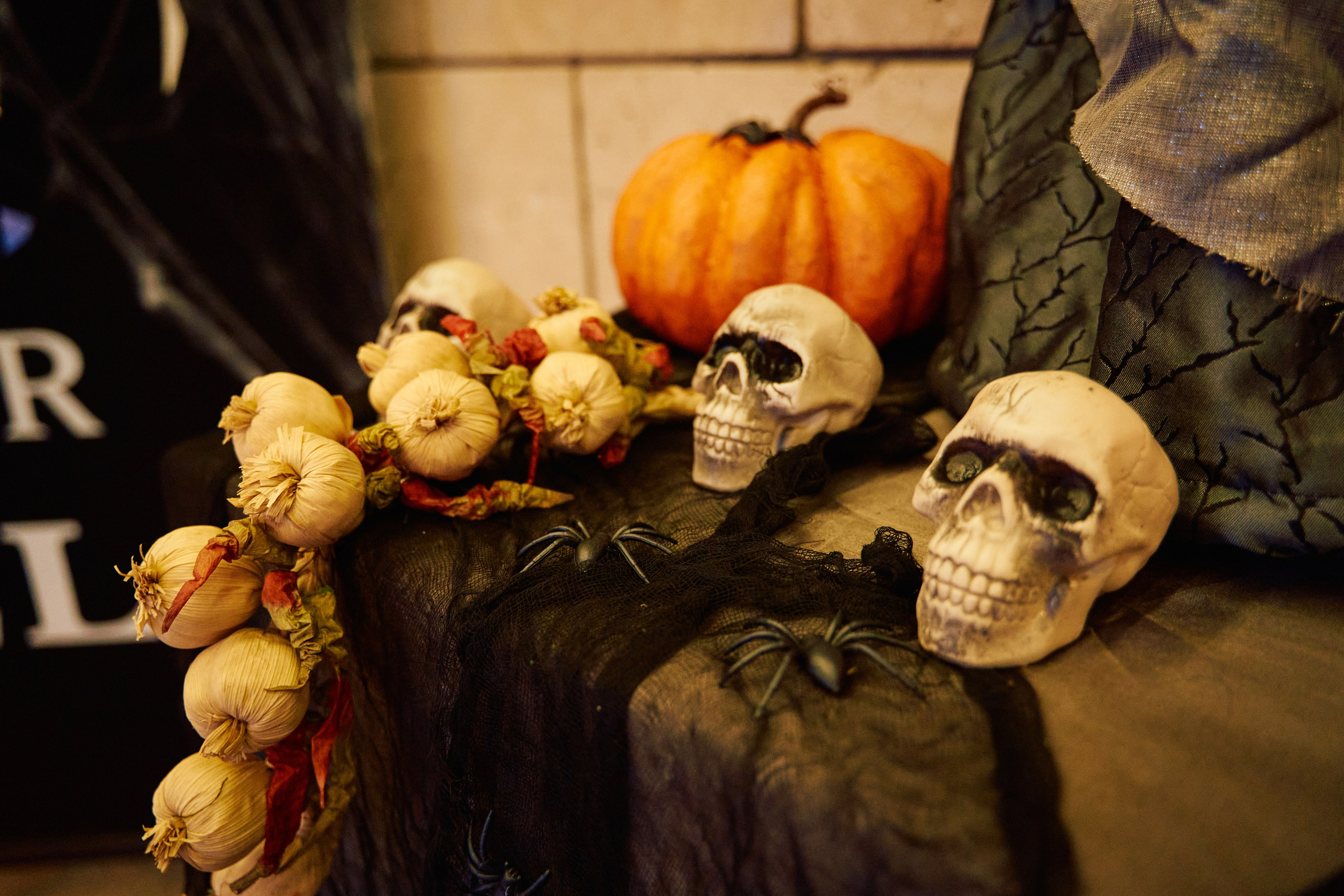 Halloween. Photographer and Videographer in Montenegro