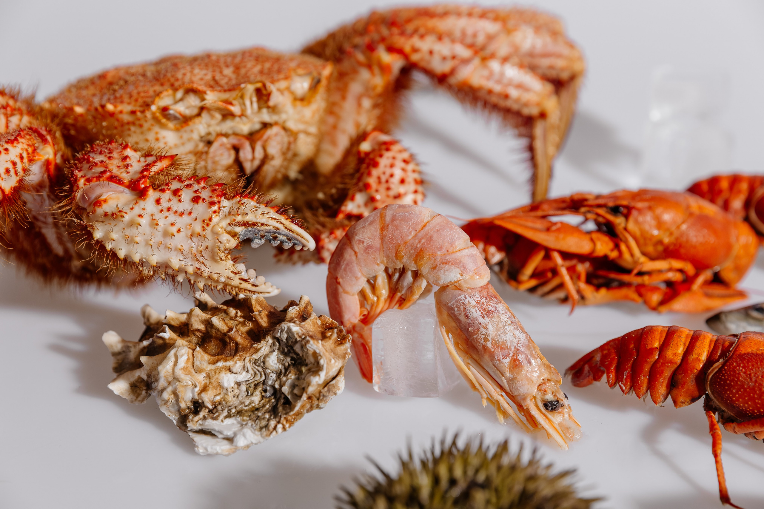 Splash.sea. Профессиональный фотограф Инесса Новикова в Москве