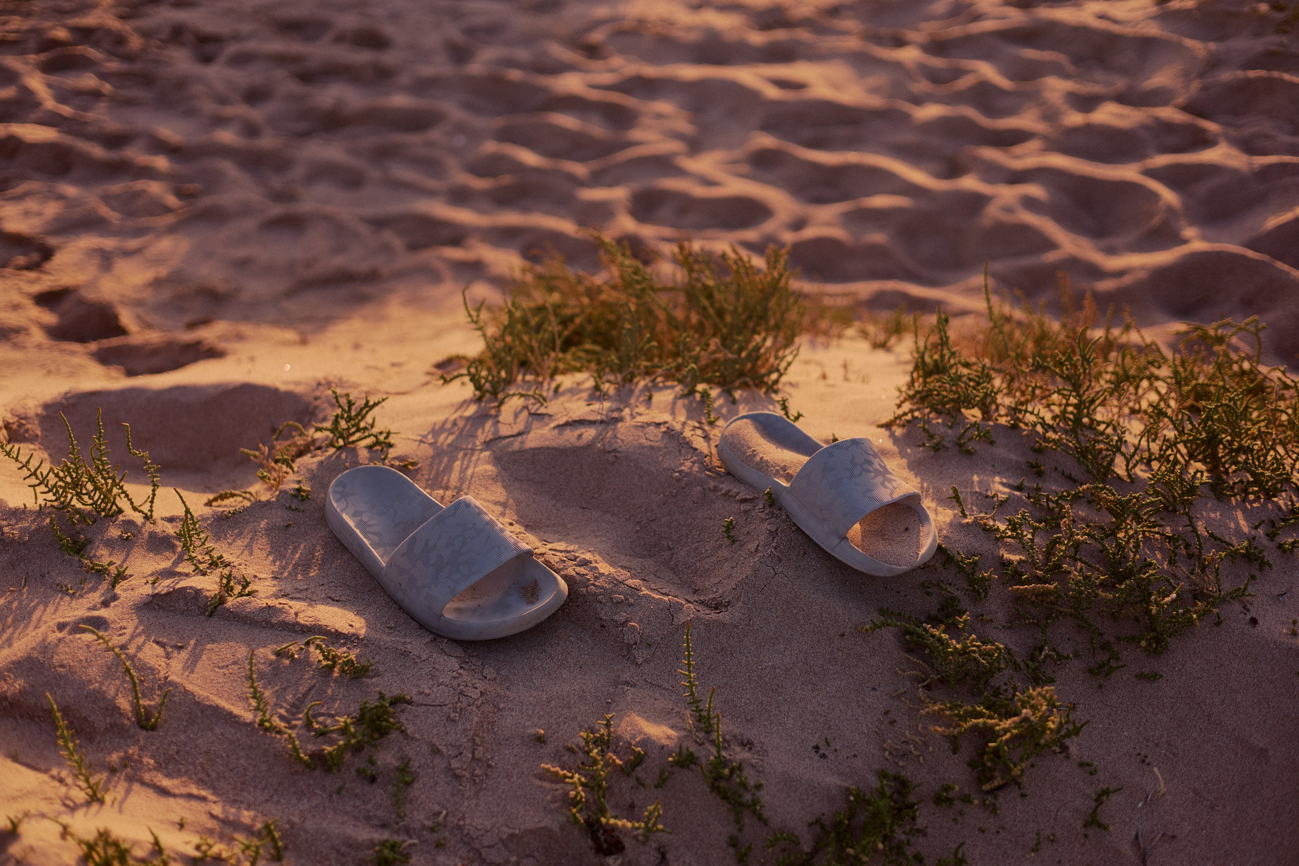 Другое 4. Jorgis — фотограф в Хургаде / обучение фотографии