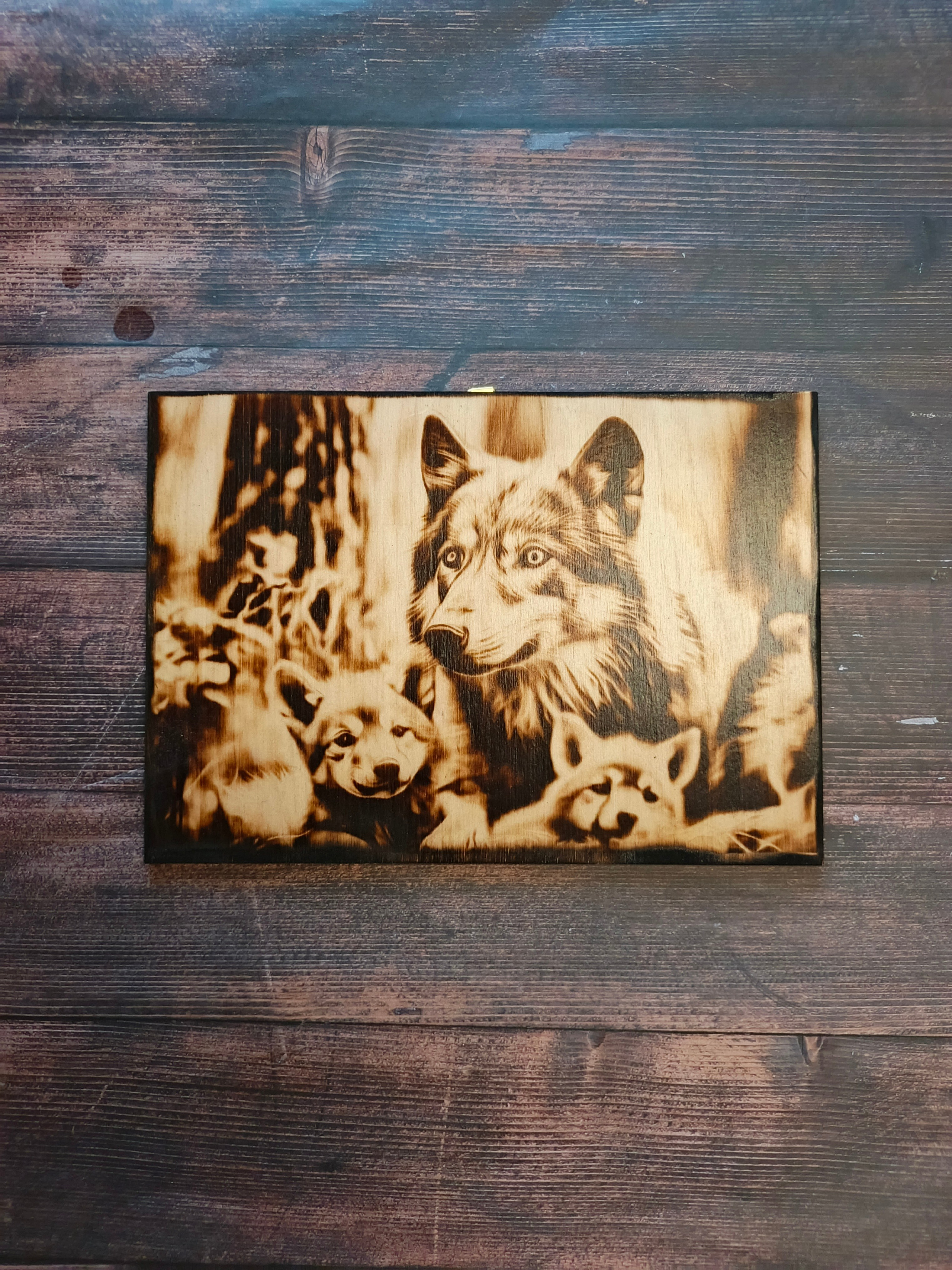 РАЗНОЕ. Выжигания картин и портретов по фото