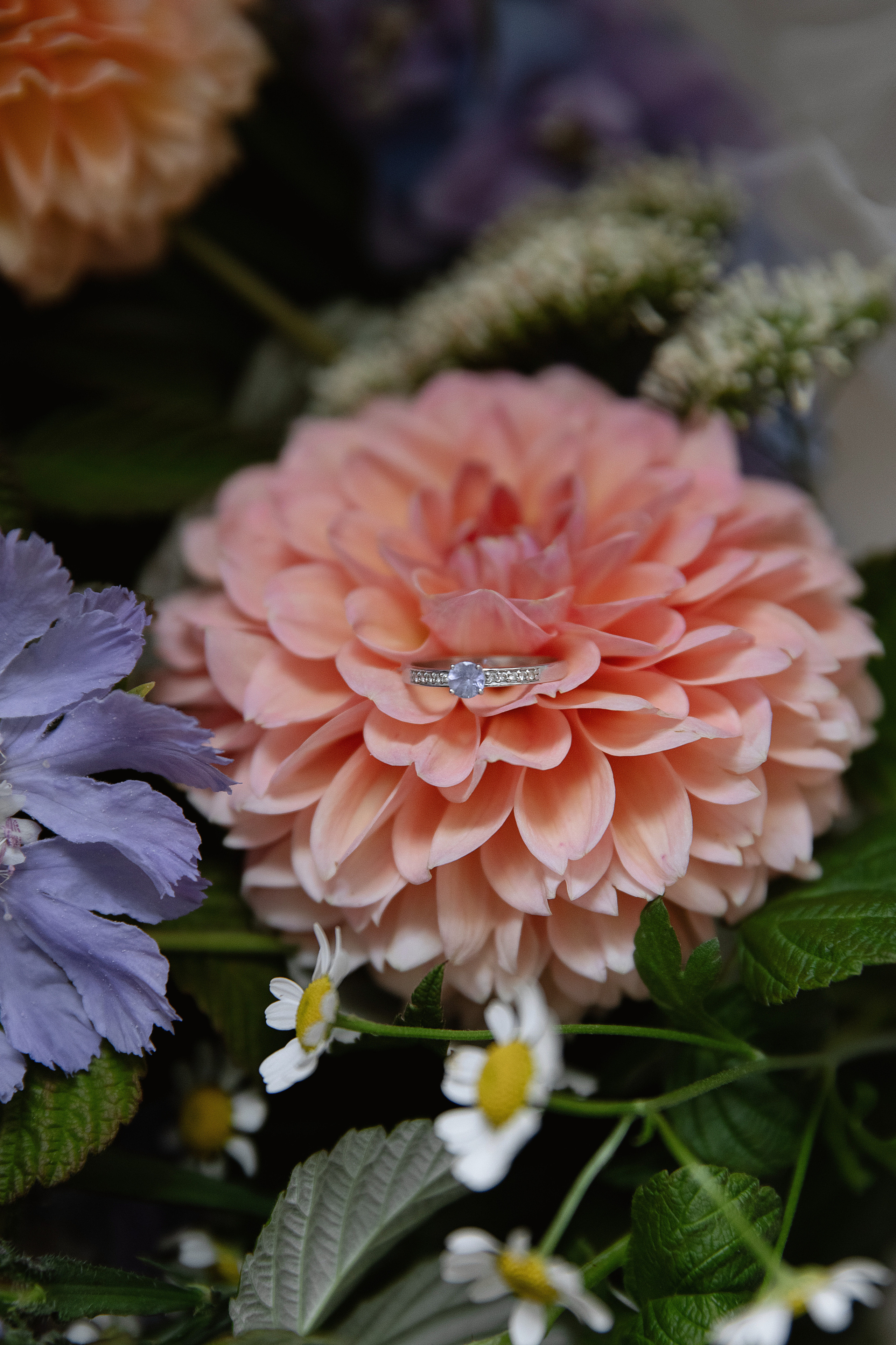 Костя и Дарина. Фотограф Андреева Алёна