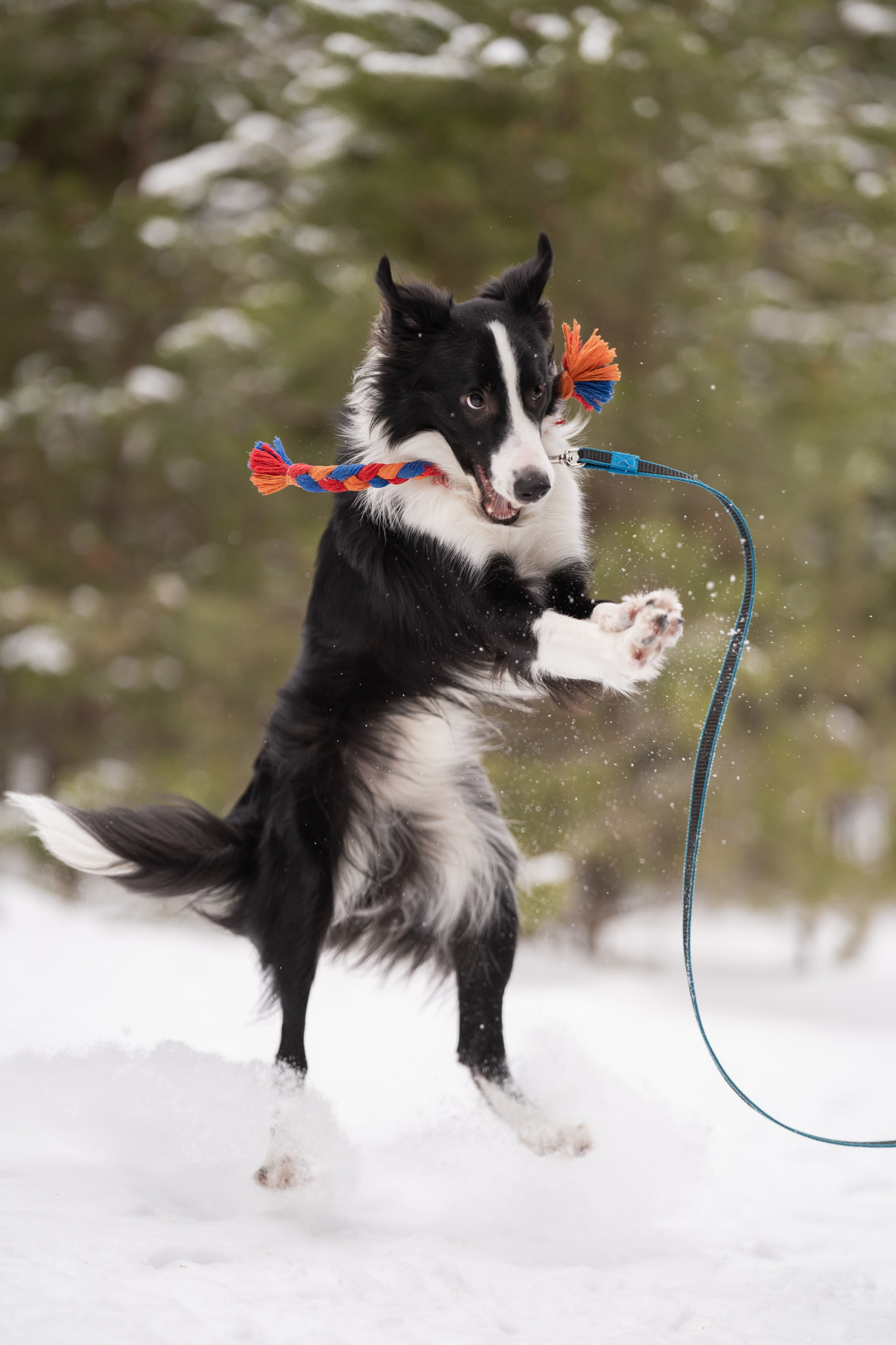 Близзард. Kameramotor74