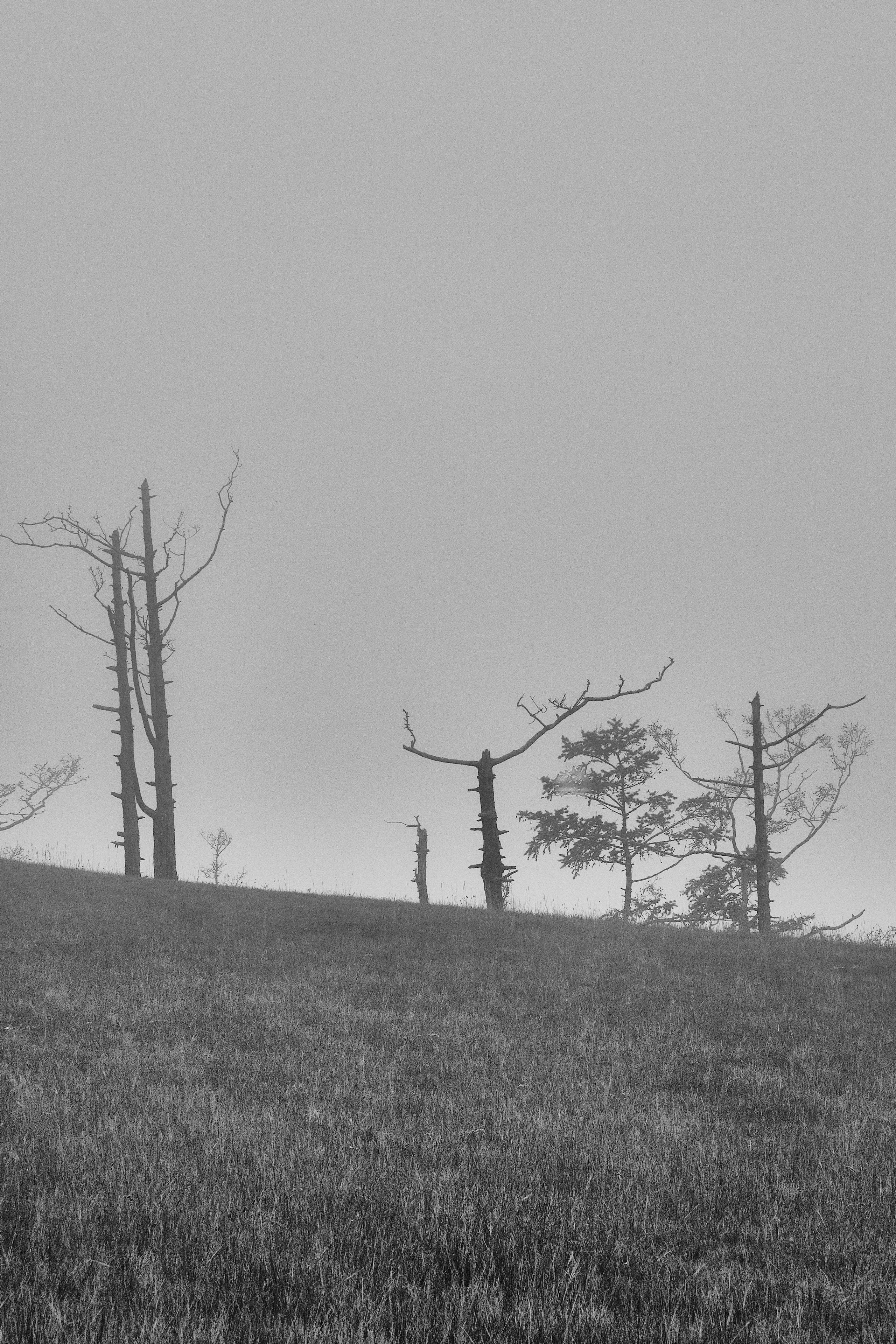 Москва — Владивосток. Охота за образами Мира. Shaltay Gallery