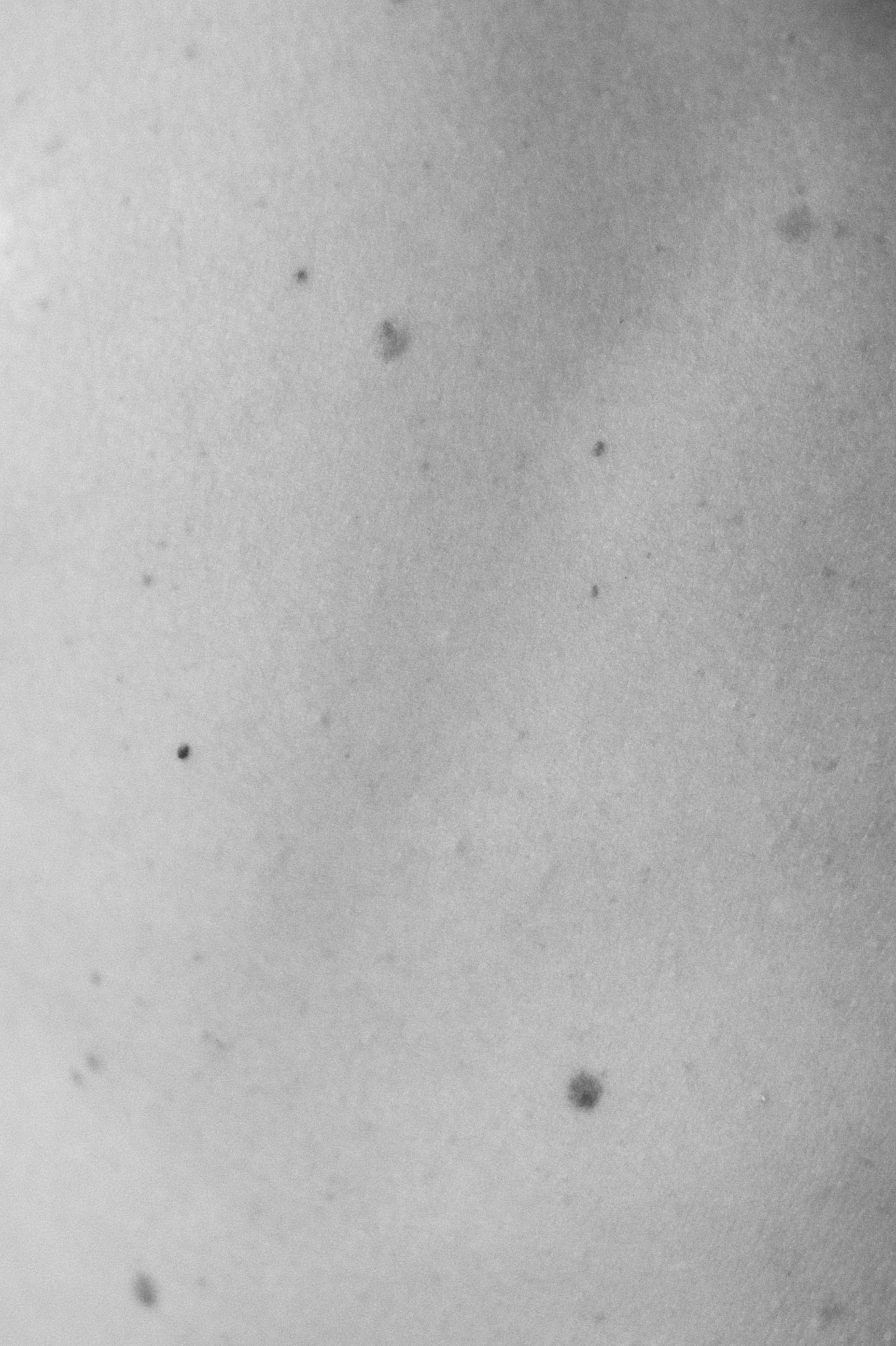 PEOPLE. МАРГАРИТА. КРИСТИНА ГУСЬКОВА