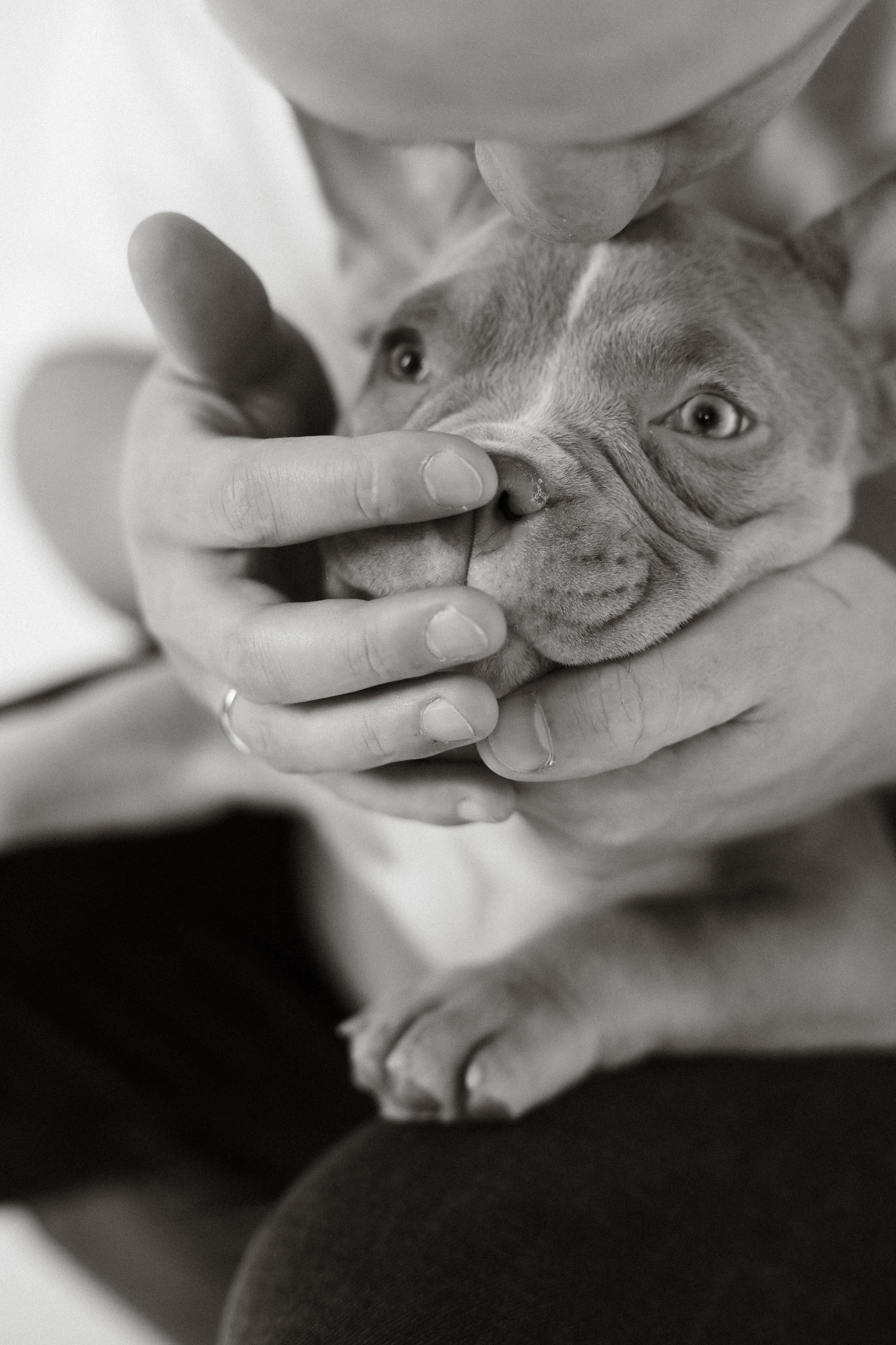 Семейная съемка с хвостиком. Фотограф Юлия Герасимова Иркутск