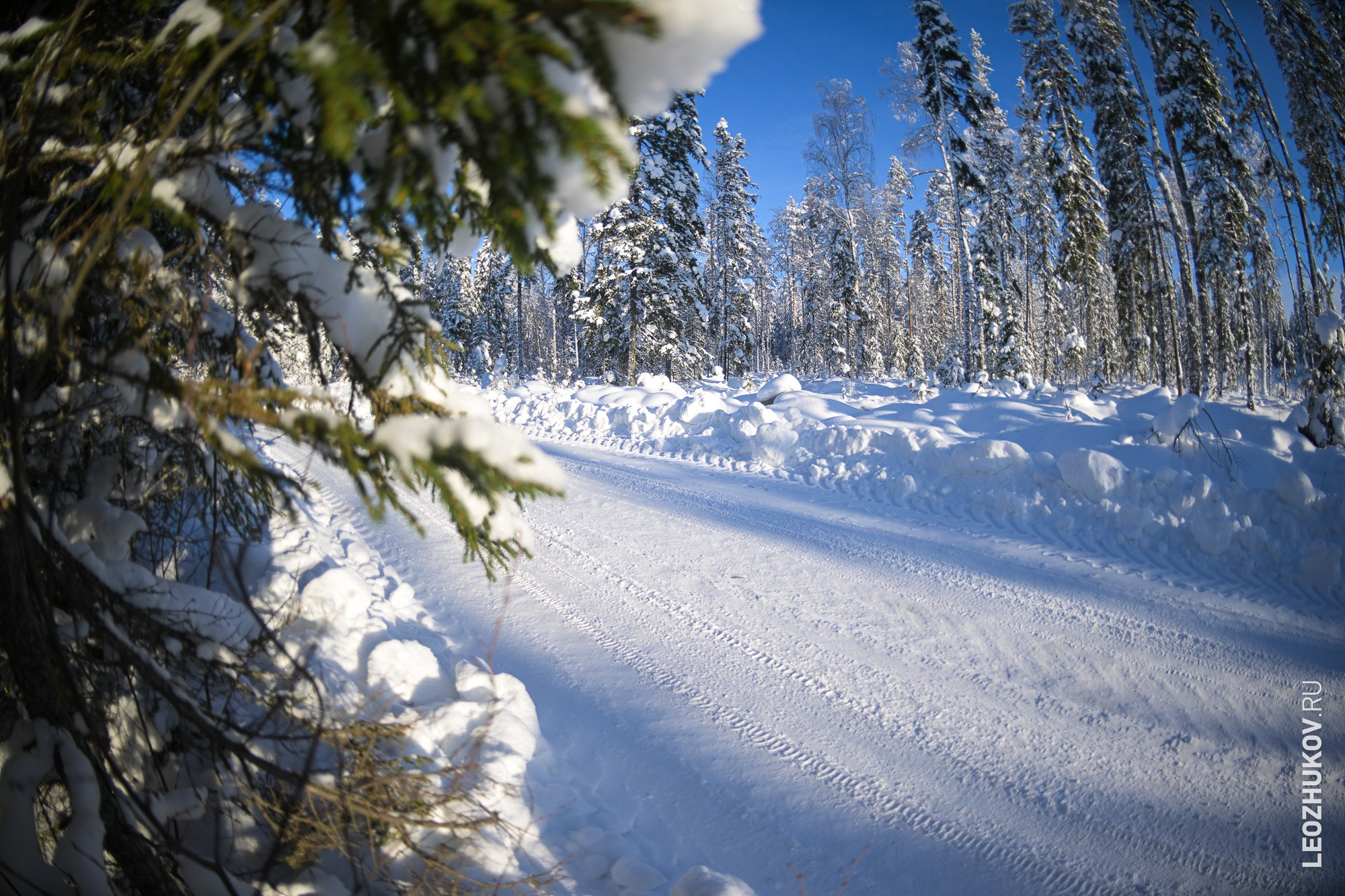 Ралли Лахденпохья 2026. Спортивный фотограф Леонид Жуков