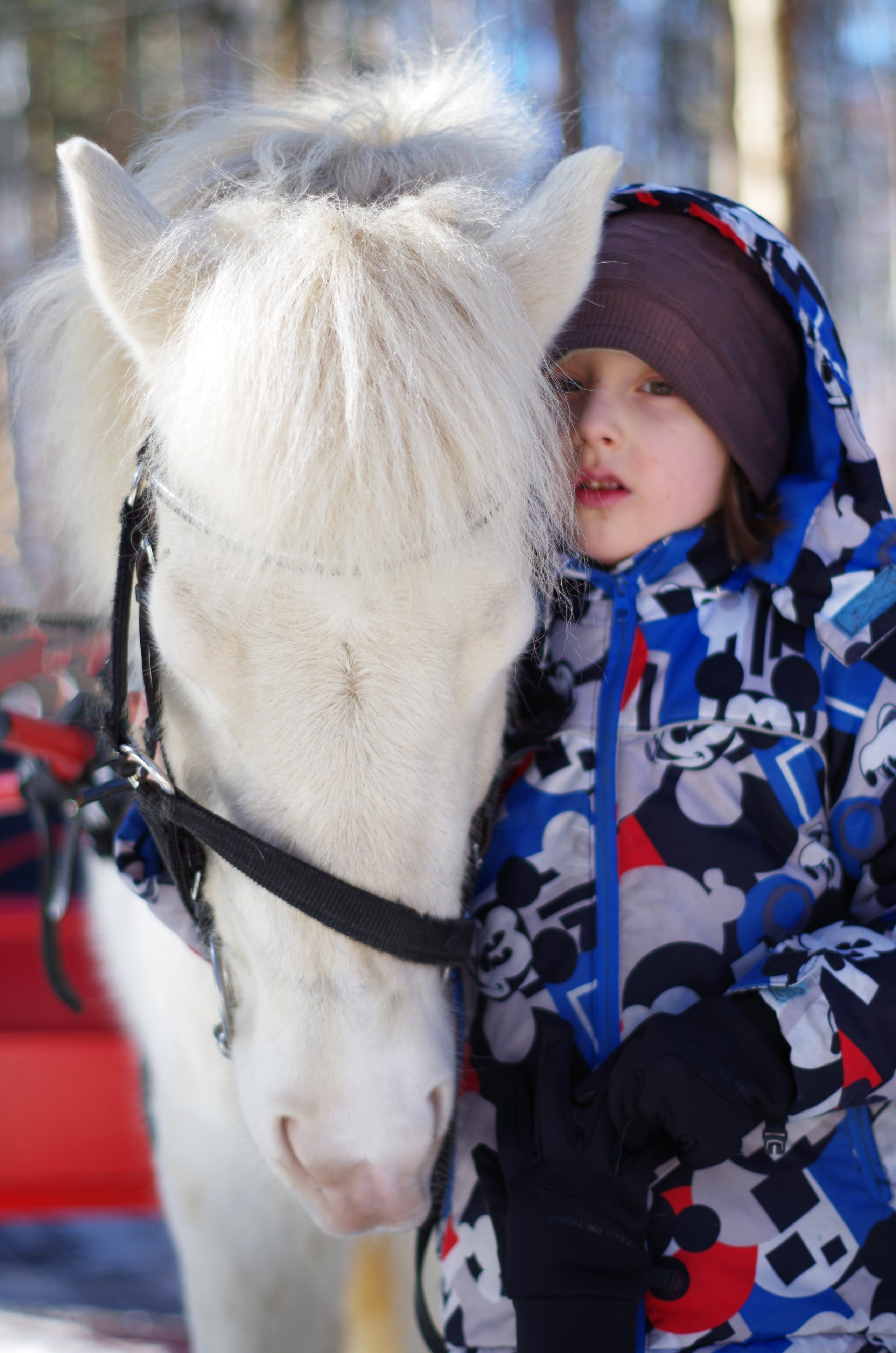 ДЕТИ & ЛОШАДИ. Фотограф Марина Доглядная Челябинск фотосессии с лошадьми, мотоциклами