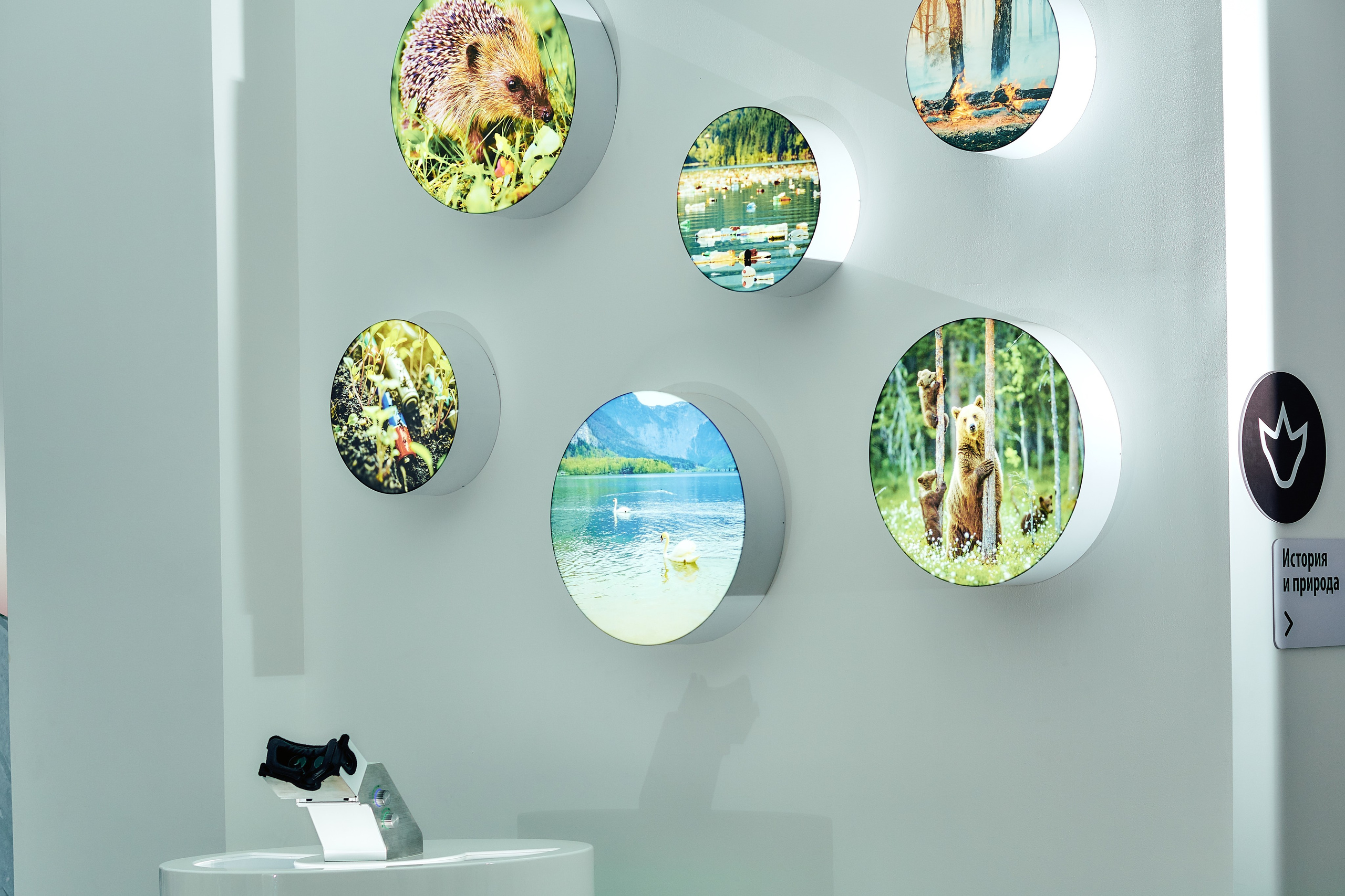 Интерьерная съемка Визит-центр Национальный парк «Кисловодский». Константин Кордонский | Интерьерный и food-фотограф в Кисловодске и КМВ