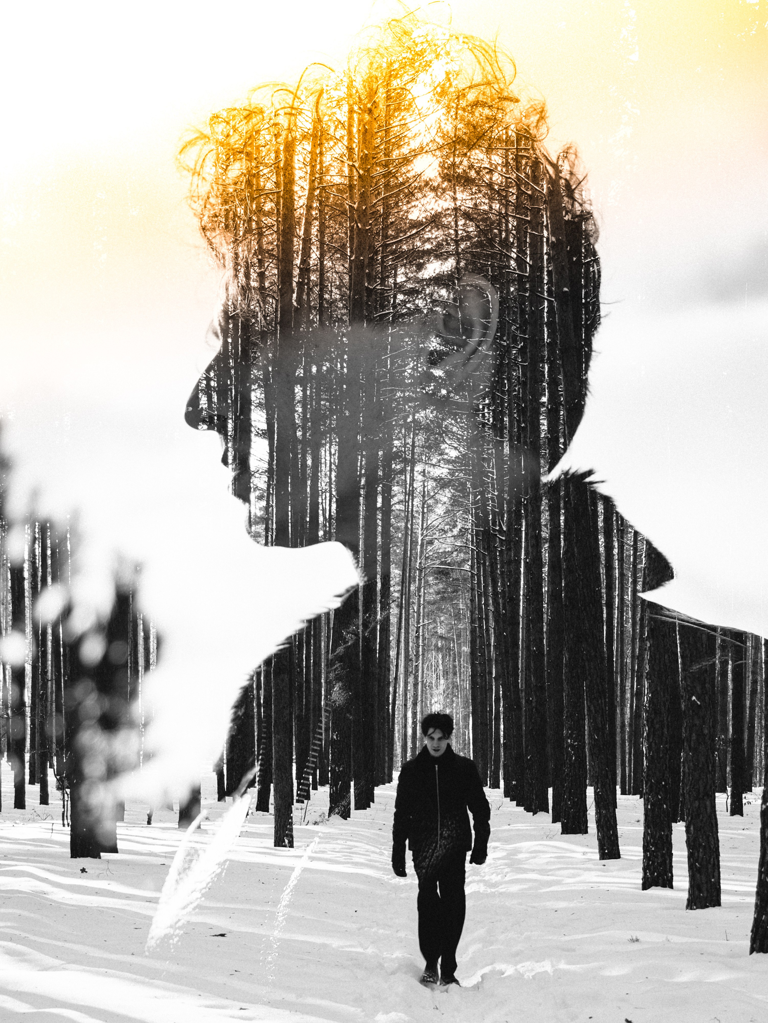 Чисто поле и лес. ElizabetArt — фотограф в Воронеже Елизавета Хлусова