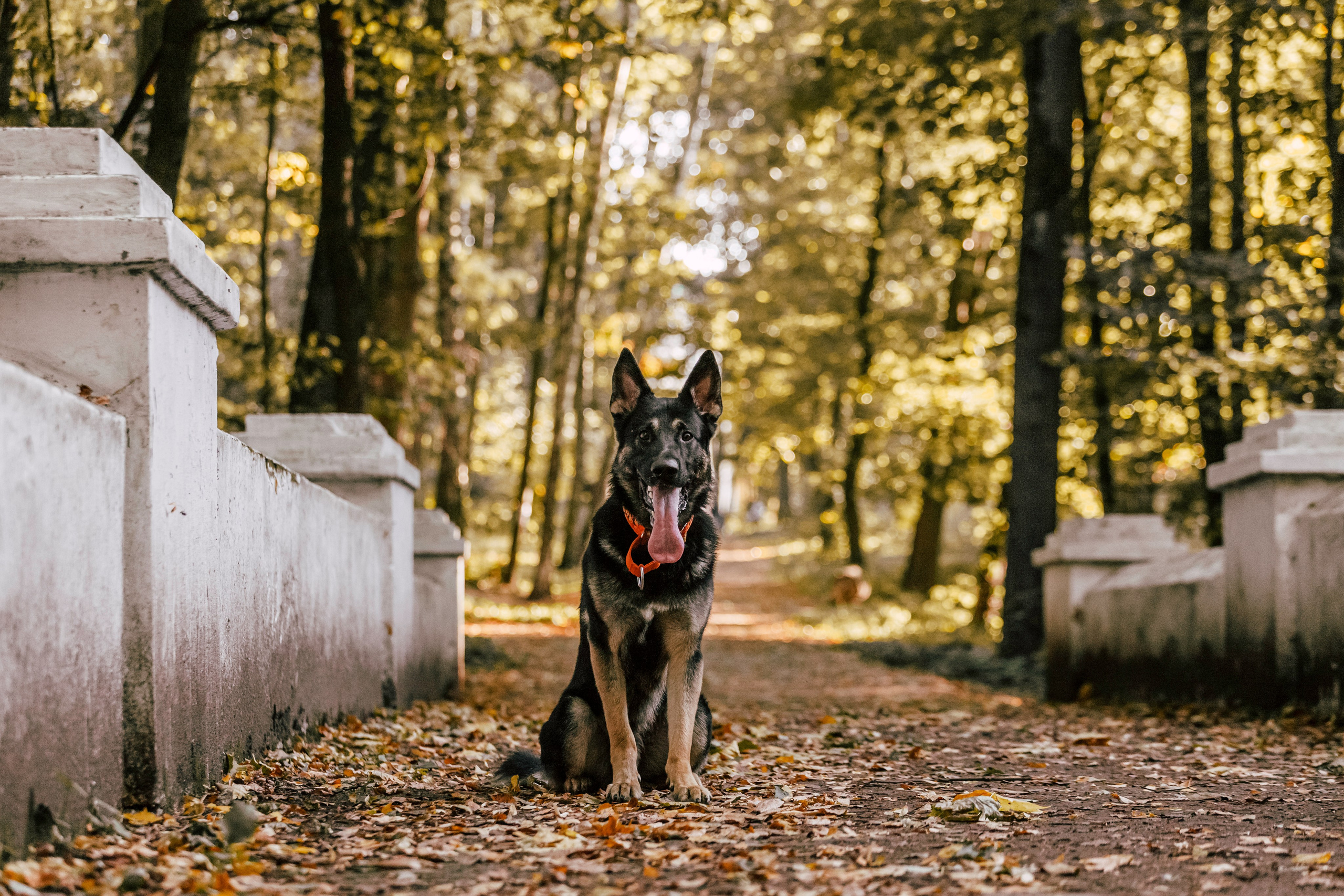 Илай. Фотограф-анималист Татьяна Степанова