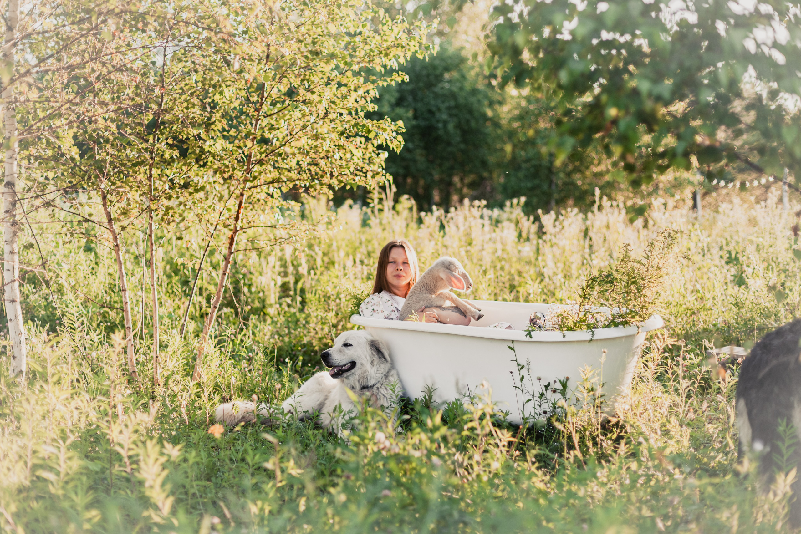 Ванна в поле. Фотограф-анималист Татьяна Степанова