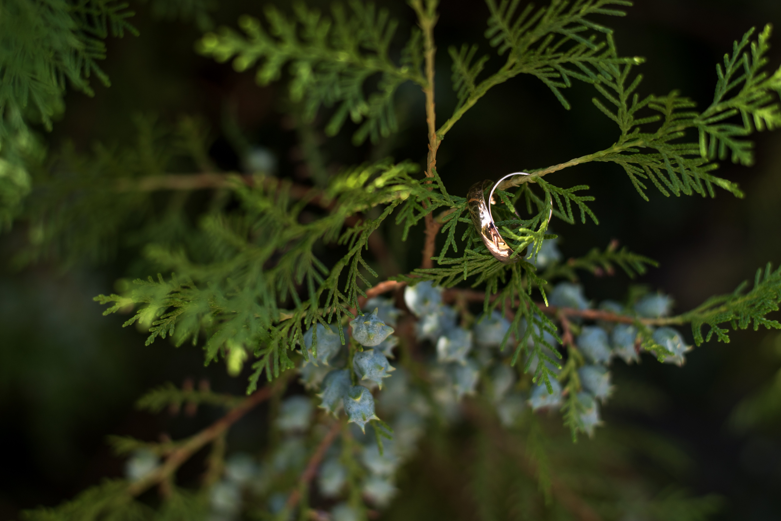 Анастасия и Григорий. Фотограф Москва Олеся Харченко