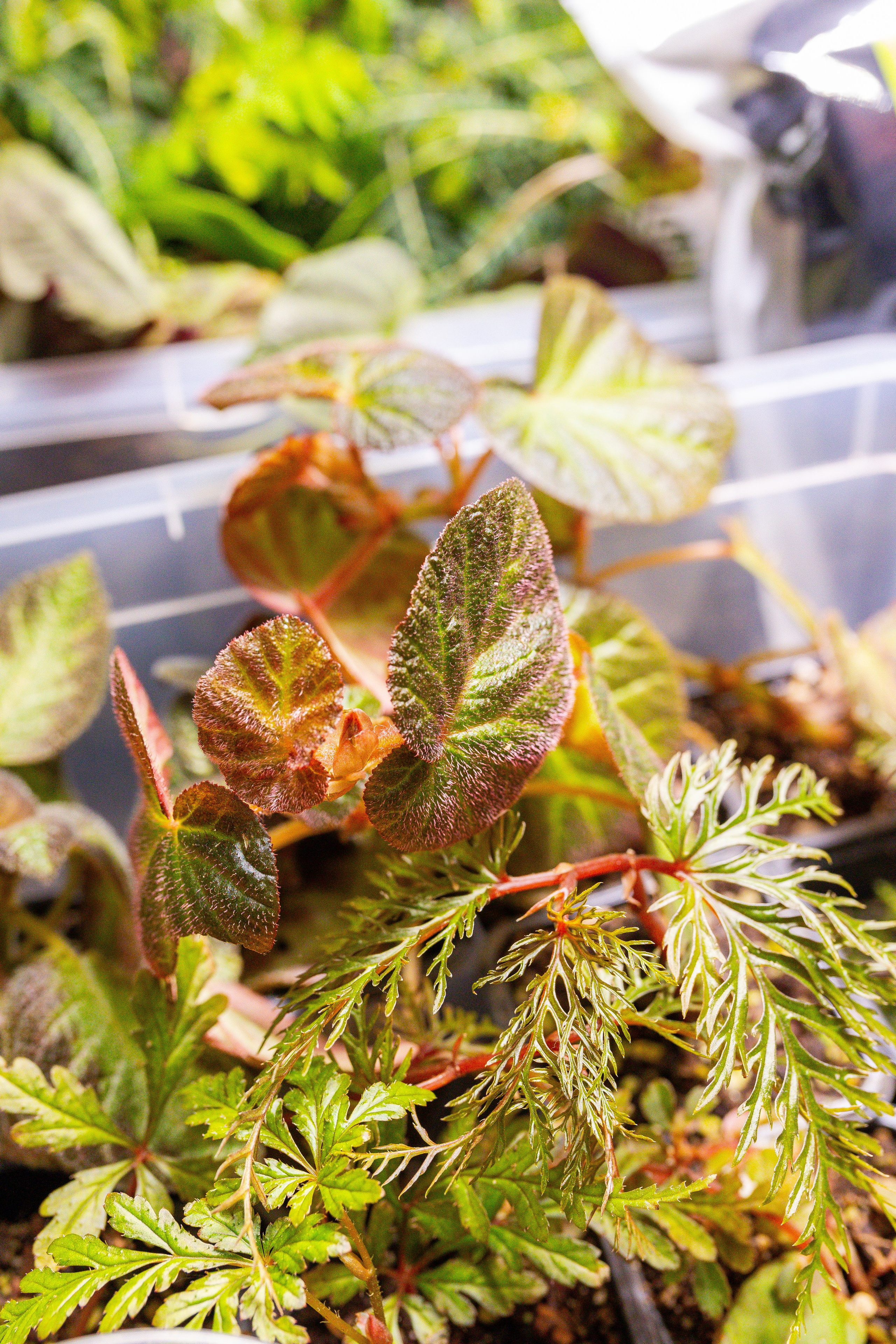 Монстериум 11–12 октября. Александра Куликова фотограф, Москва