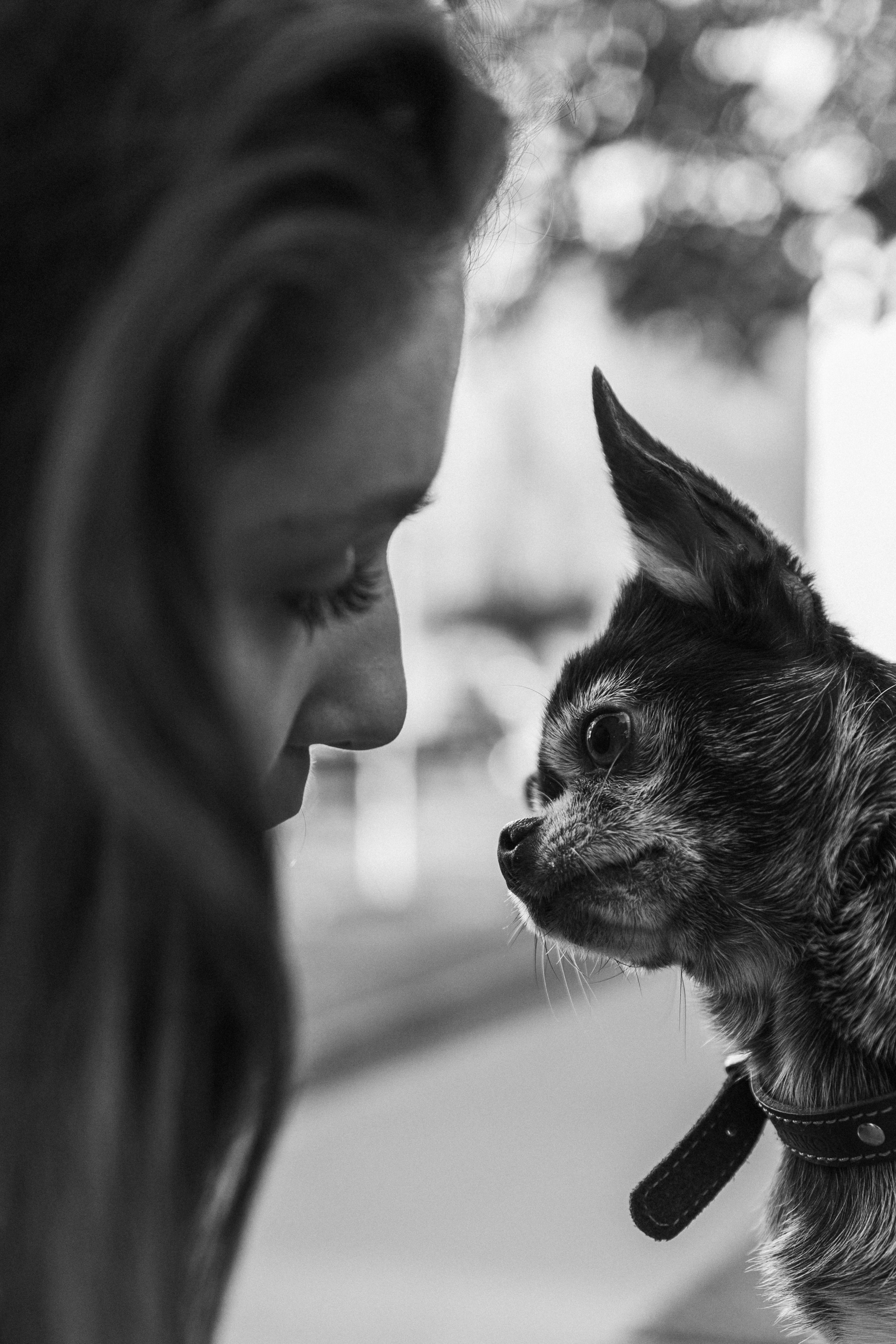 Даша и ее мальчики. Фотограф — Анималист | Санкт-Петербург