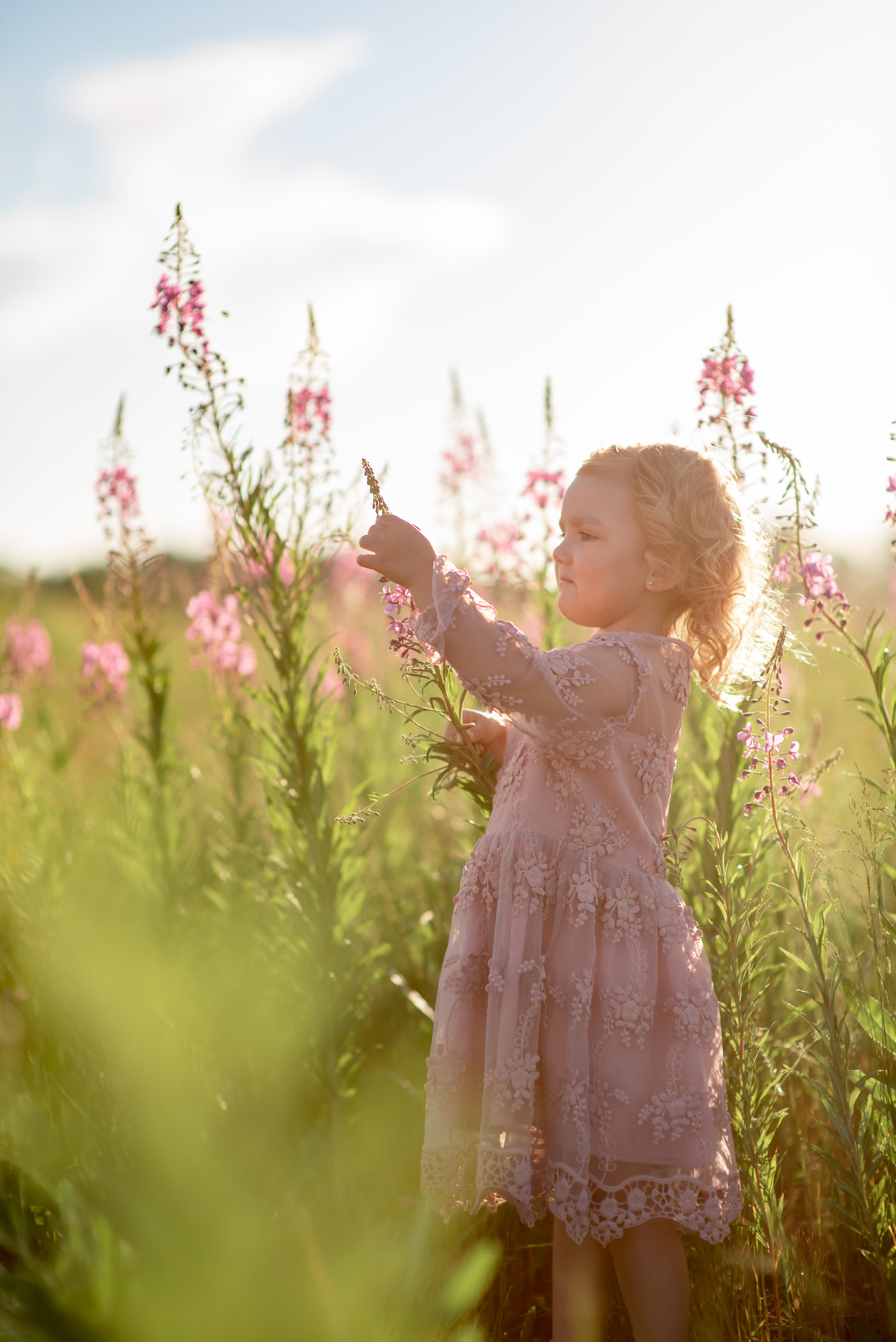 В цветущих полях. Свадебный фотограф Тюмень Анастасия Битная