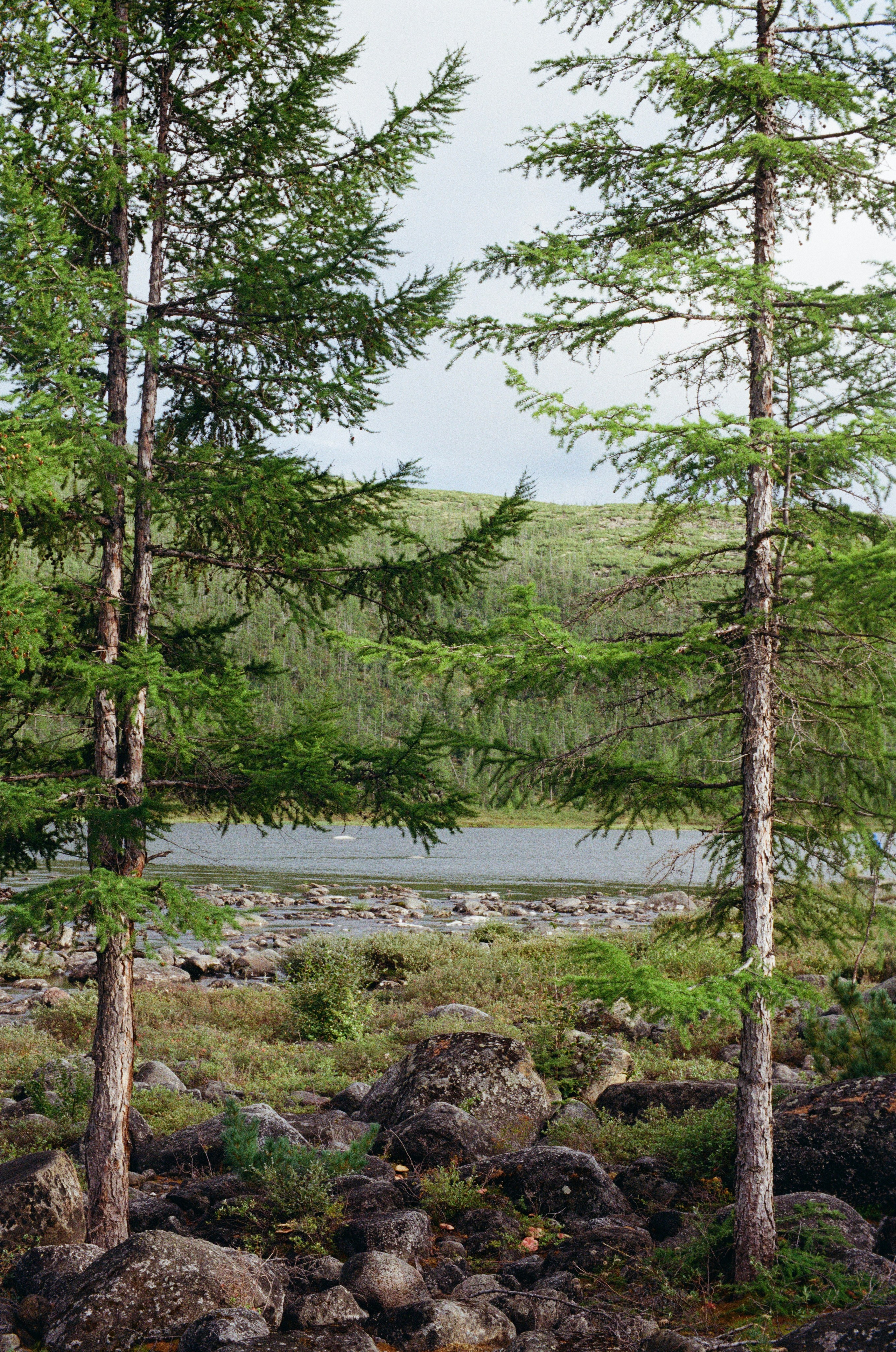 EXHIBITION. Репортажный и интерьерный фотограф, фотохудожник