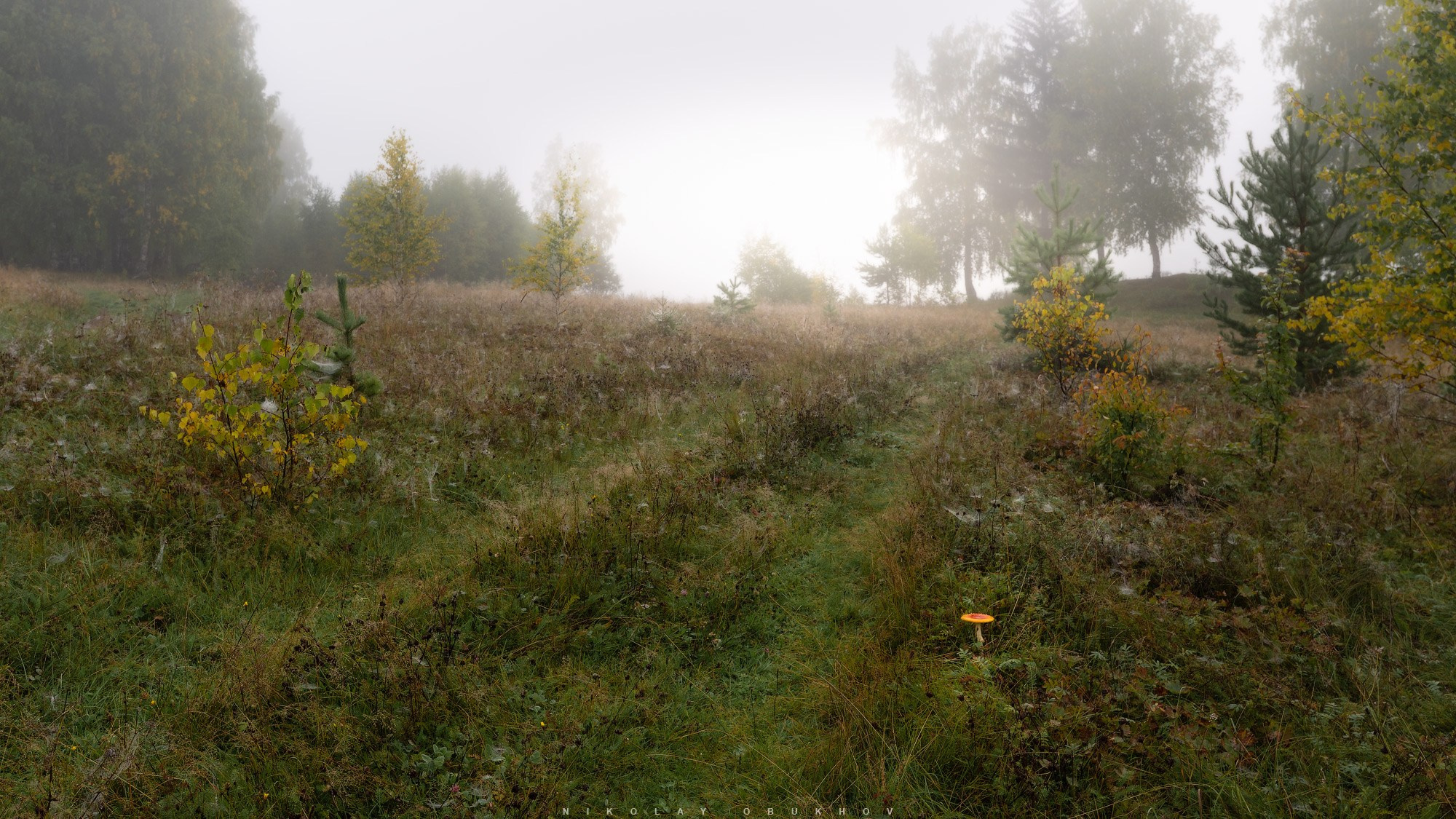 Начало осени - туманный пейзаж.