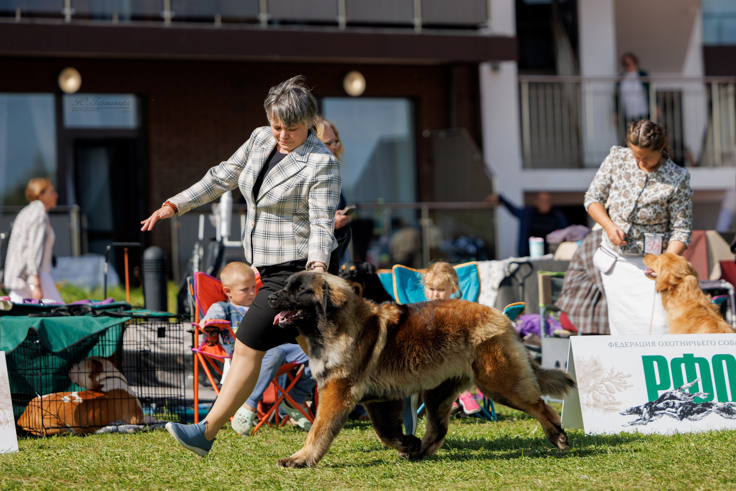 Переславль 5-7.08.2025. Фотограф-анималист Юлия Германика