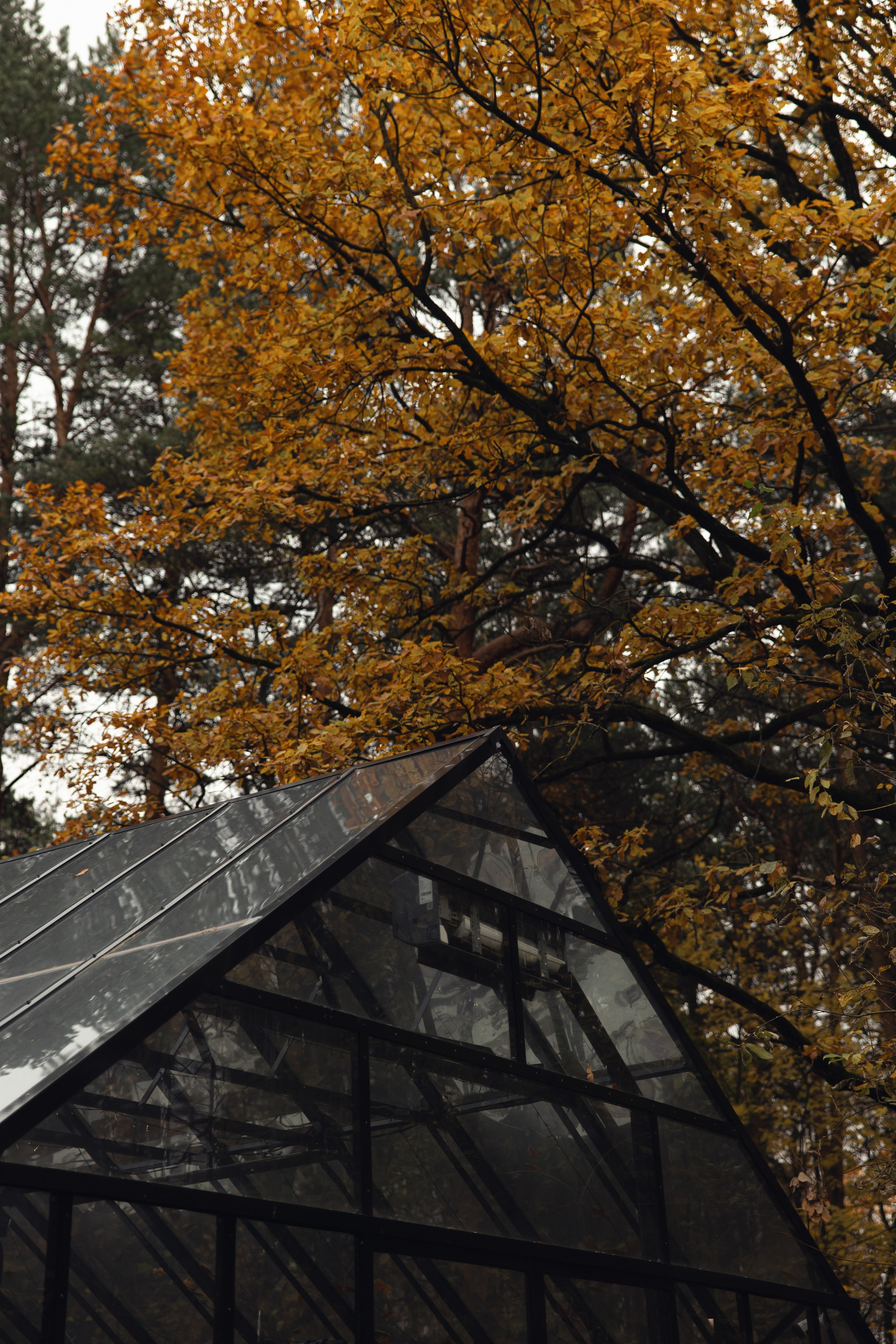 Danya | Masha. Свадебный и репортажный фотограф Анастасия Алашеева