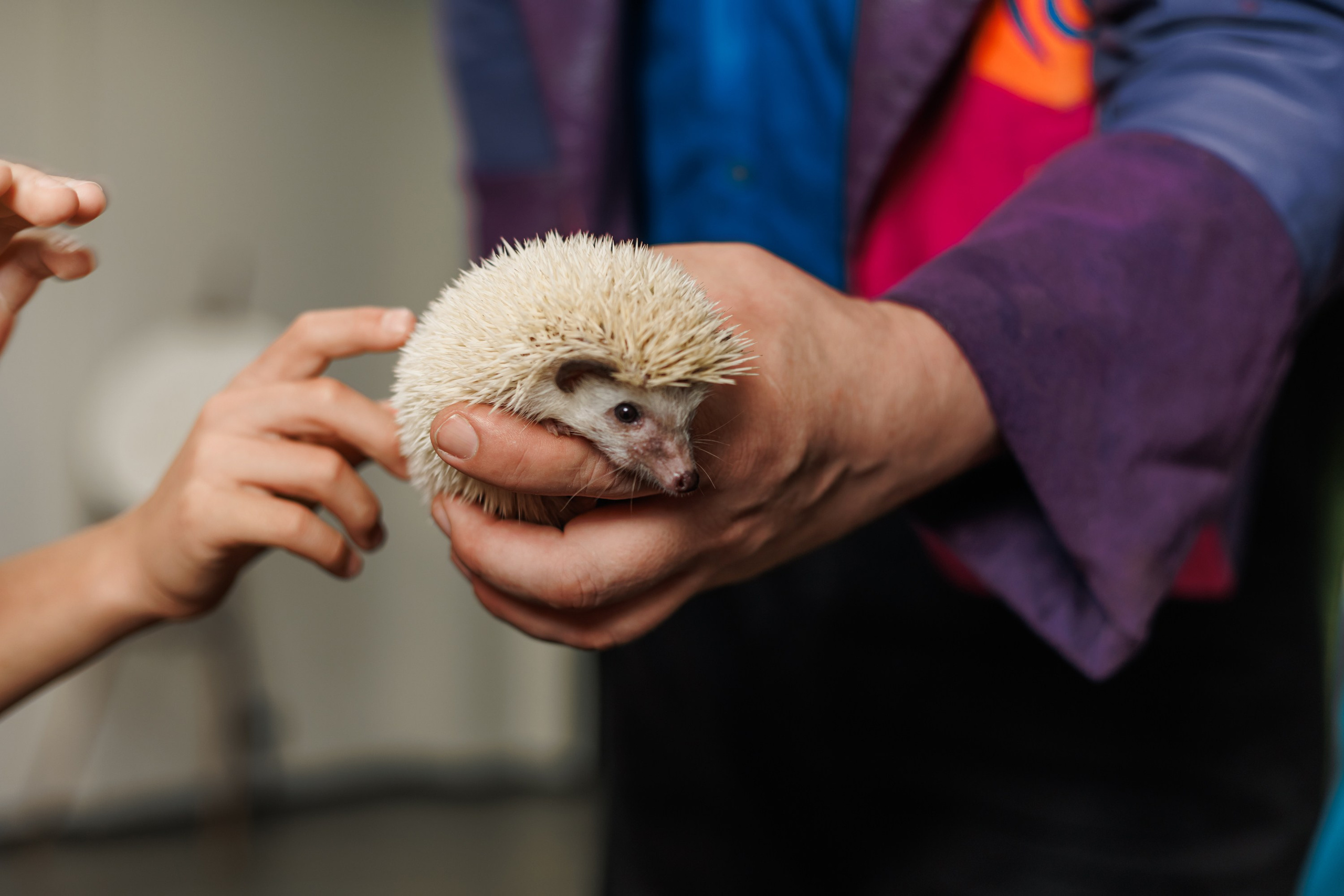 Детский День Рождения. Репортажный фотограф. Москва. Алина Ланская